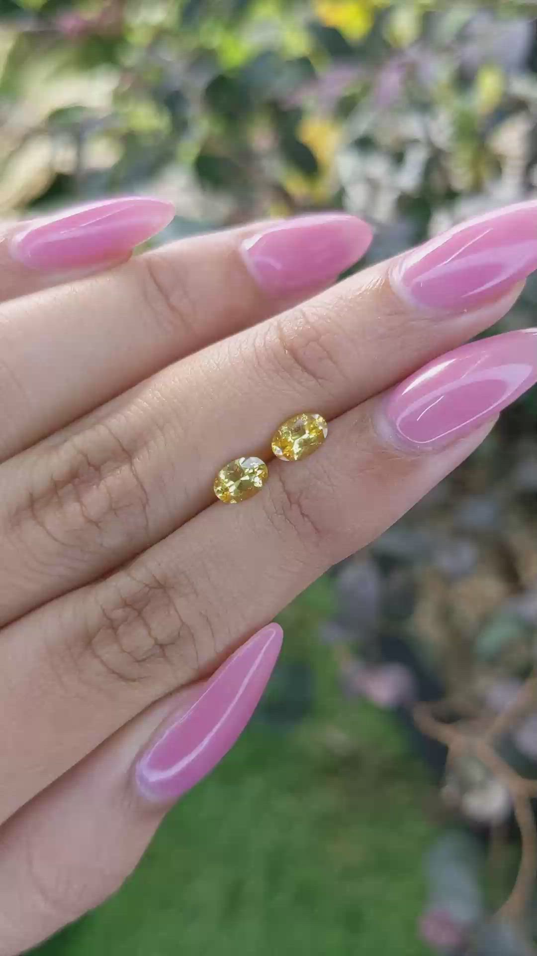 1.00&nbsp;Ct.Tw.Total Carat Weight Yellow Sapphire Pair from Ceylon (Sri Lanka) Size Video