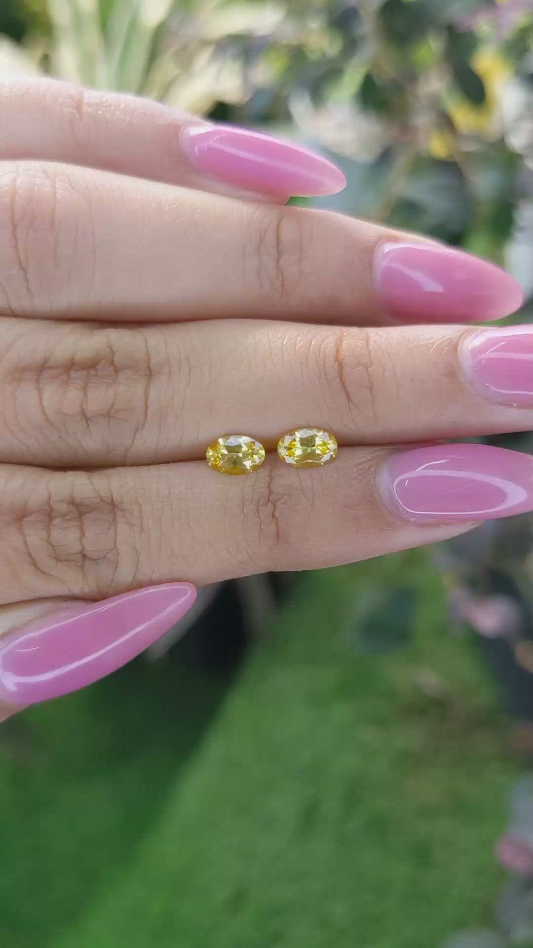 1.00&nbsp;Ct.Tw.Total Carat Weight Yellow Sapphire Pair from Ceylon (Sri Lanka) Size Video