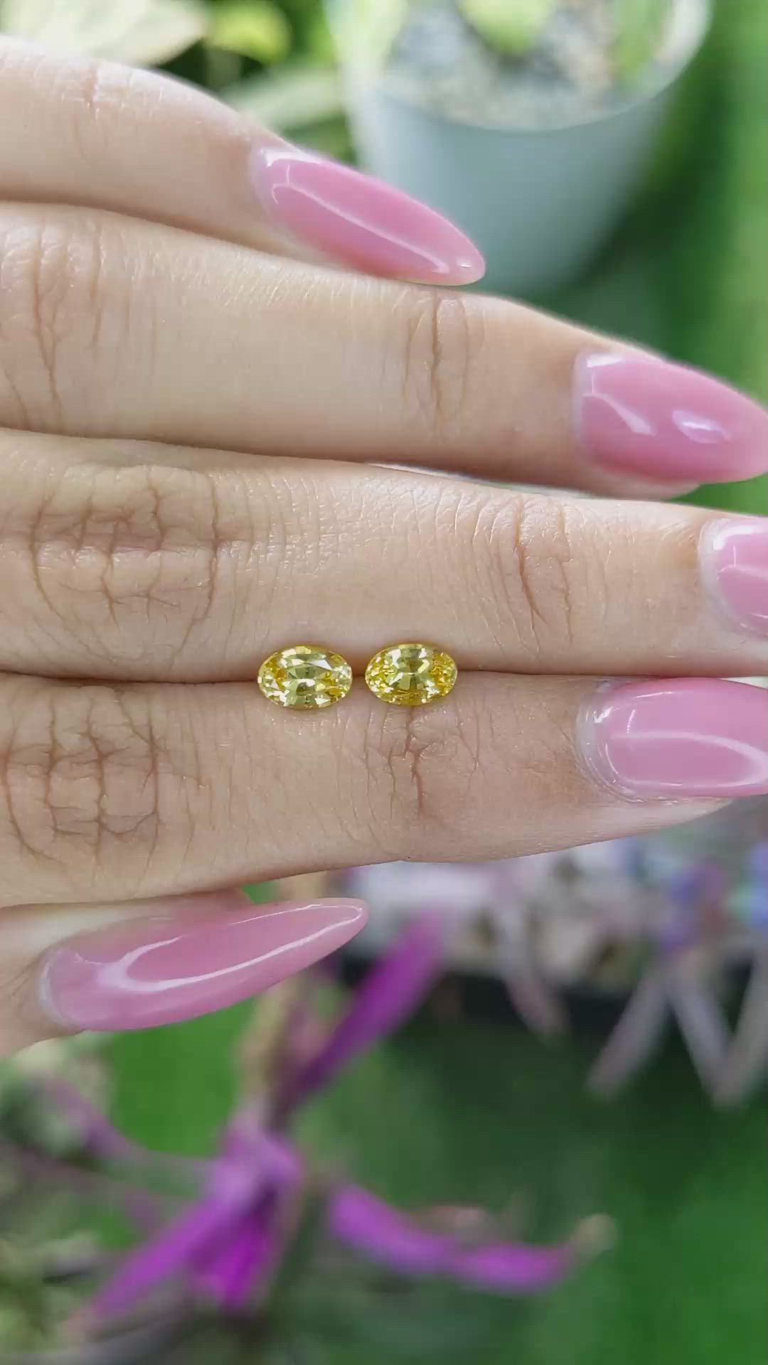 1.19 Ct.Tw.Total Carat Weight Yellow Sapphire Pair from Ceylon (Sri Lanka) Size Video