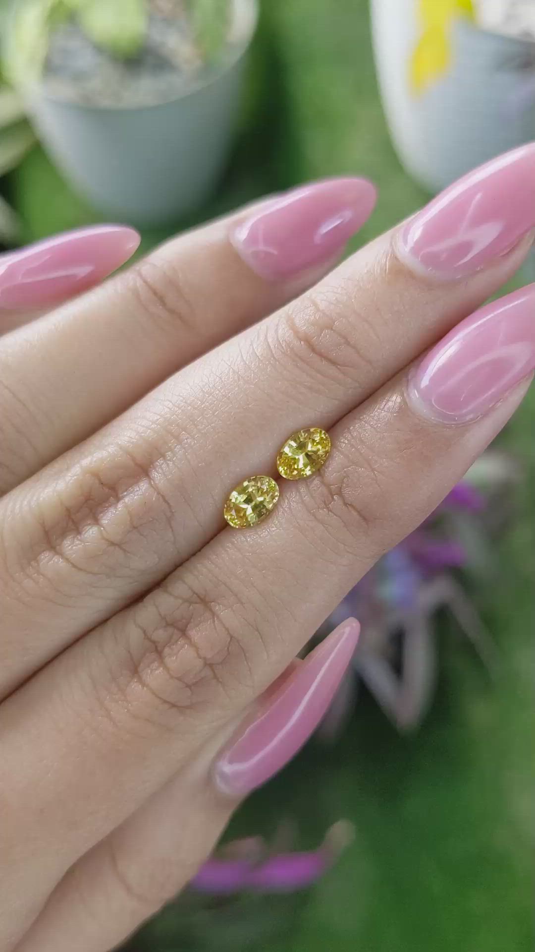 1.19 Ct.Tw.Total Carat Weight Yellow Sapphire Pair from Ceylon (Sri Lanka) Size Video