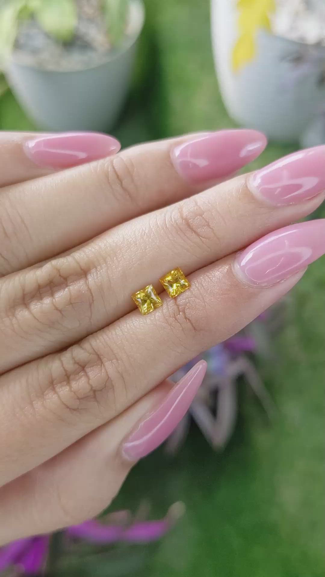 0.86 Ct.Tw.Total Carat Weight Yellow Sapphire Pair from Ceylon (Sri Lanka) Size Video