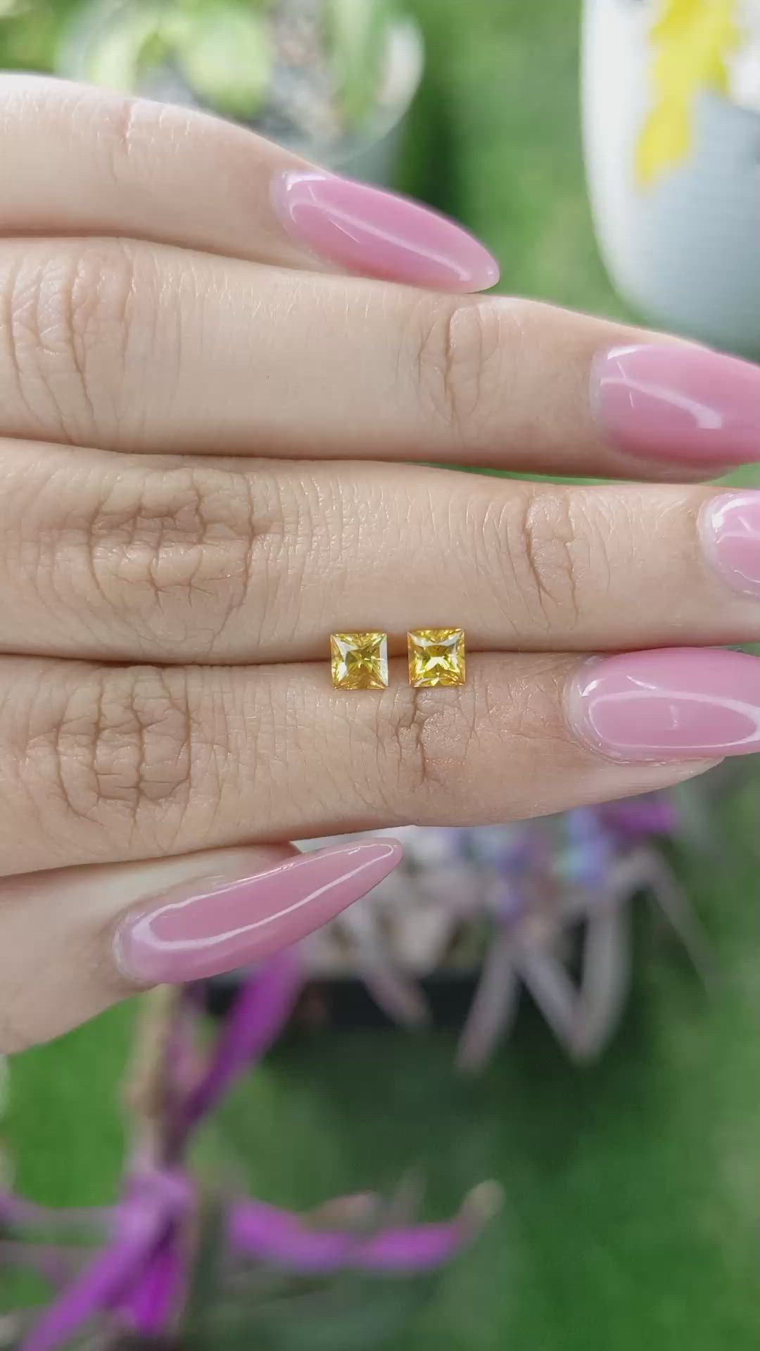 0.86 Ct.Tw.Total Carat Weight Yellow Sapphire Pair from Ceylon (Sri Lanka) Size Video