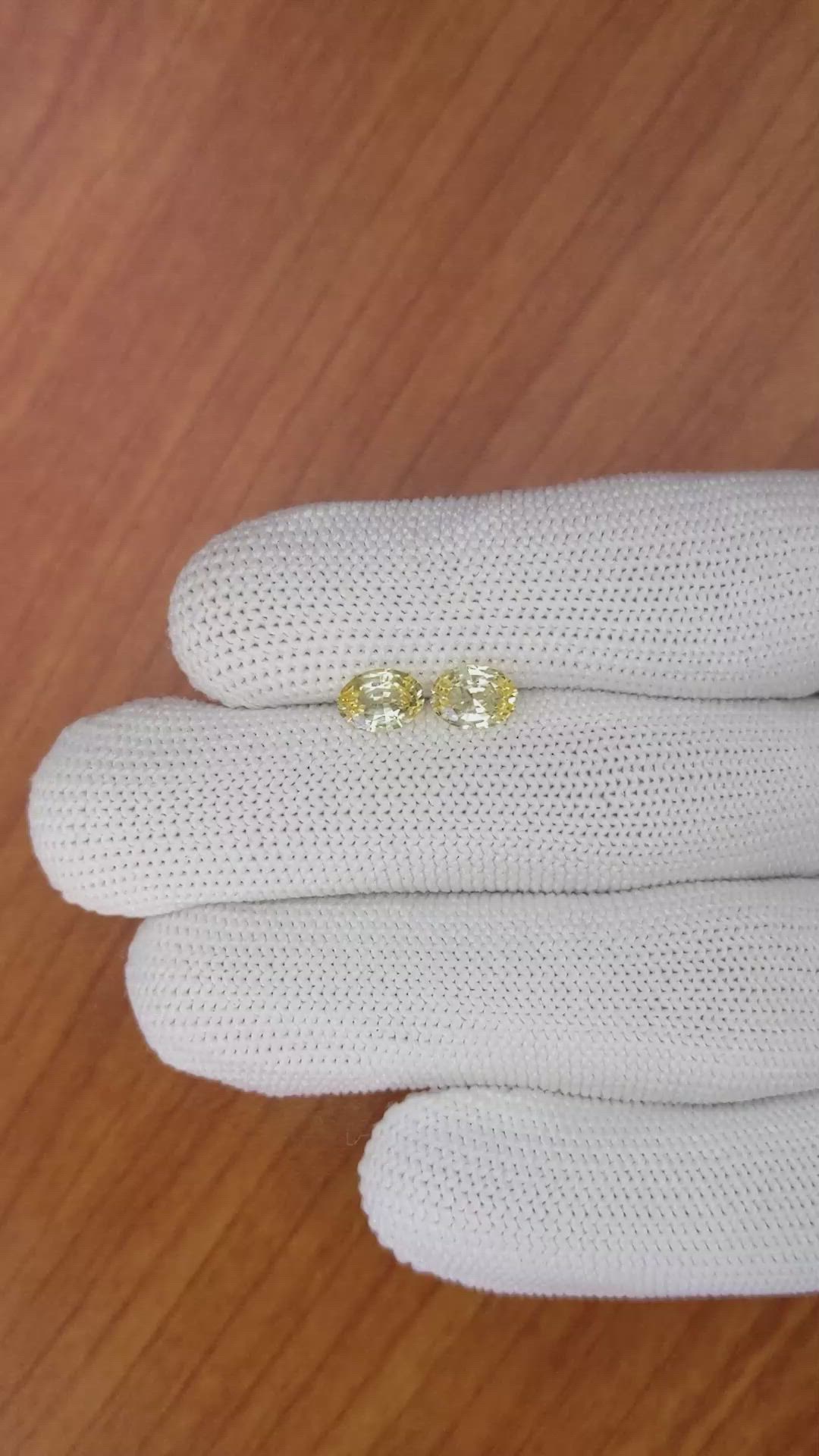 1.68 Ct.Tw.Total Carat Weight Yellow Sapphire Pair from Ceylon (Sri Lanka) Size Video