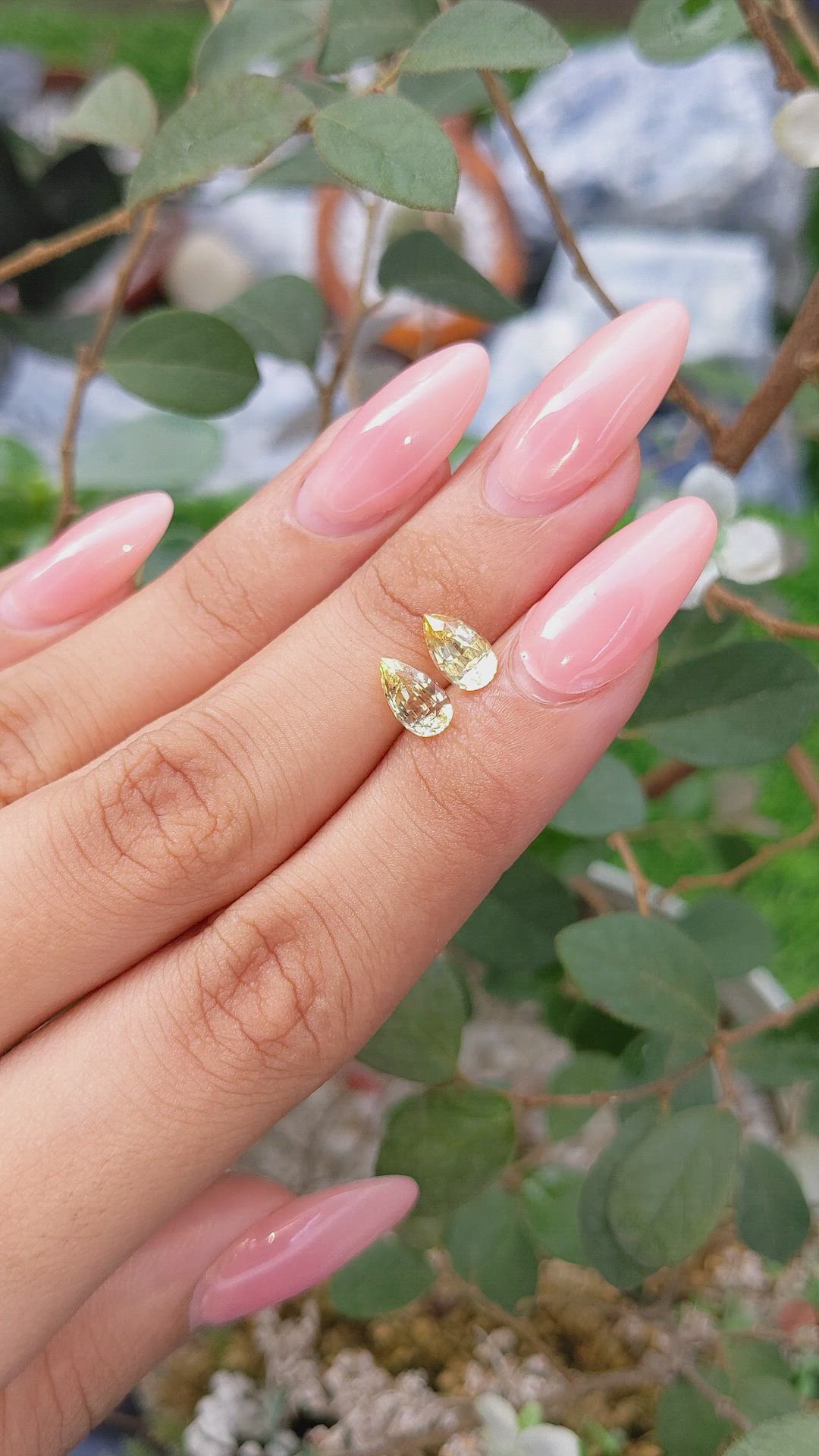 2.44 Ct.Tw.Total Carat Weight Yellow Sapphire Pair from Ceylon (Sri Lanka) Size Video