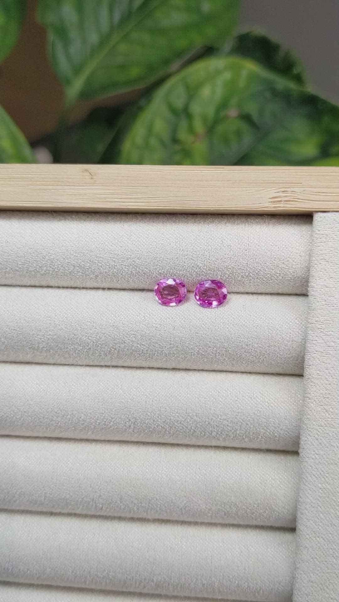 1.75&nbsp;Ct.Tw.Total Carat Weight Pink Sapphire Pair from Madagascar Size Video