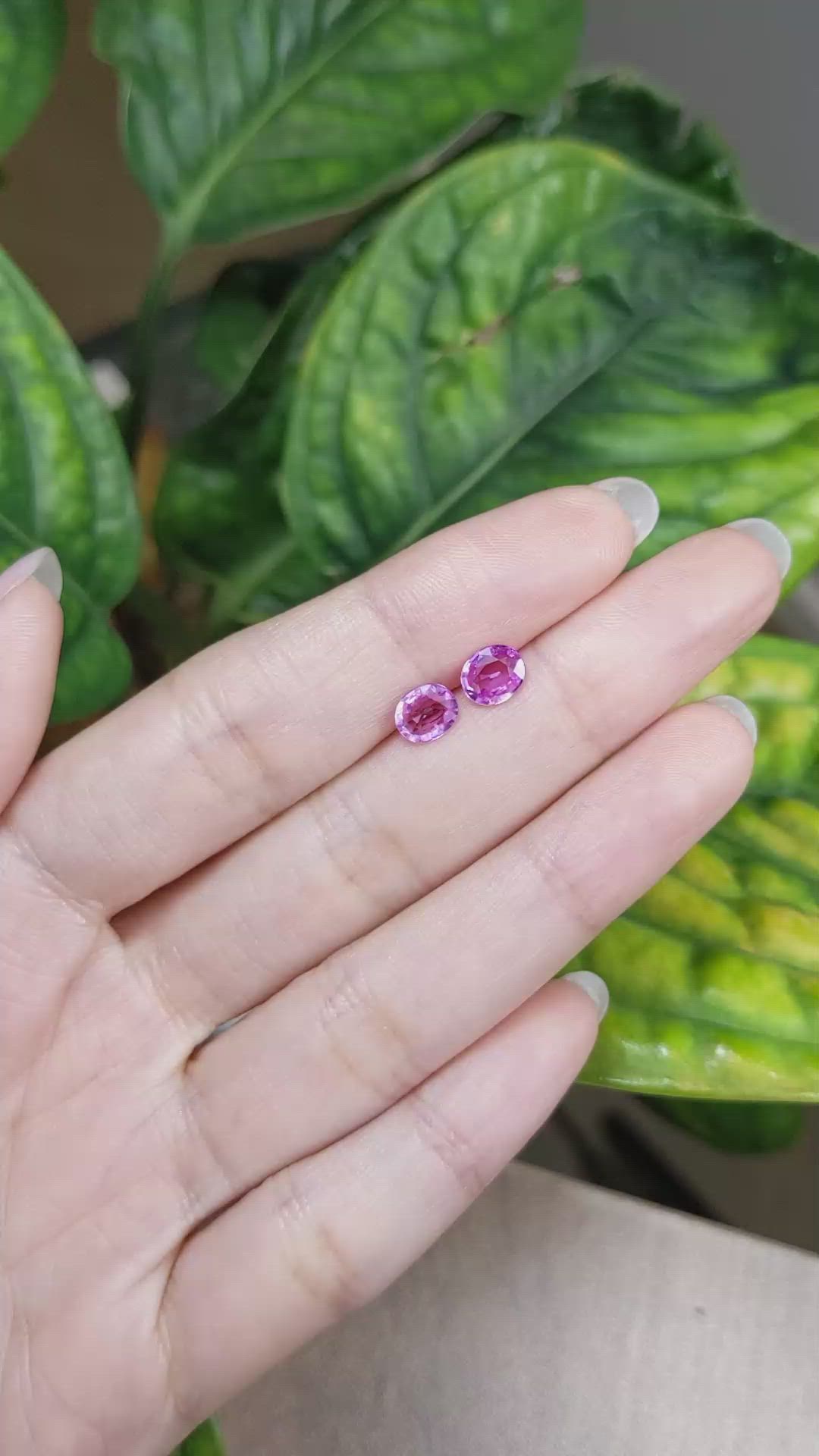 1.75&nbsp;Ct.Tw.Total Carat Weight Pink Sapphire Pair from Madagascar Size Video