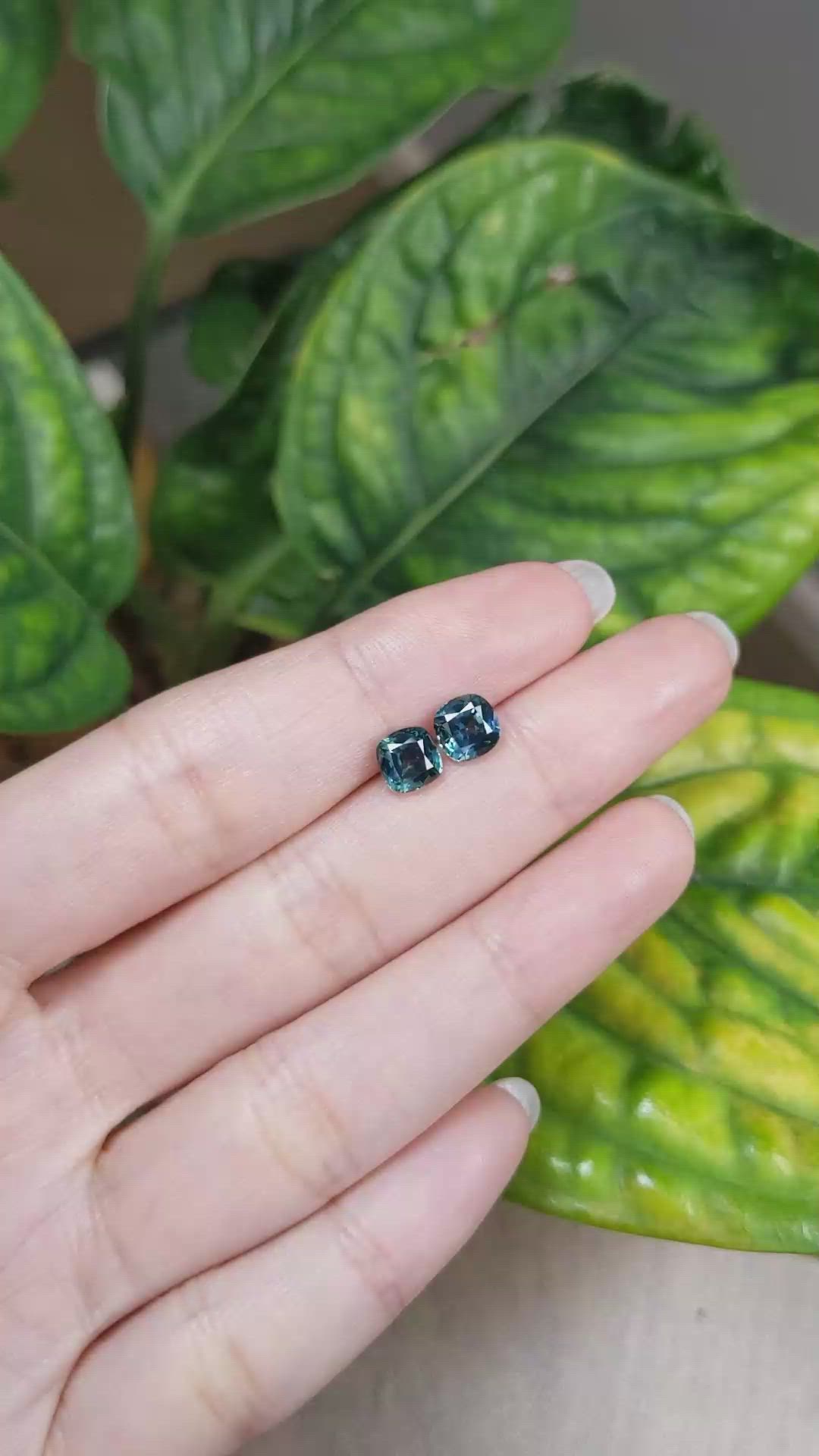 2.75 Ct.Tw.Total Carat Weight Greenish Blue Sapphire Pair from Montana Size Video