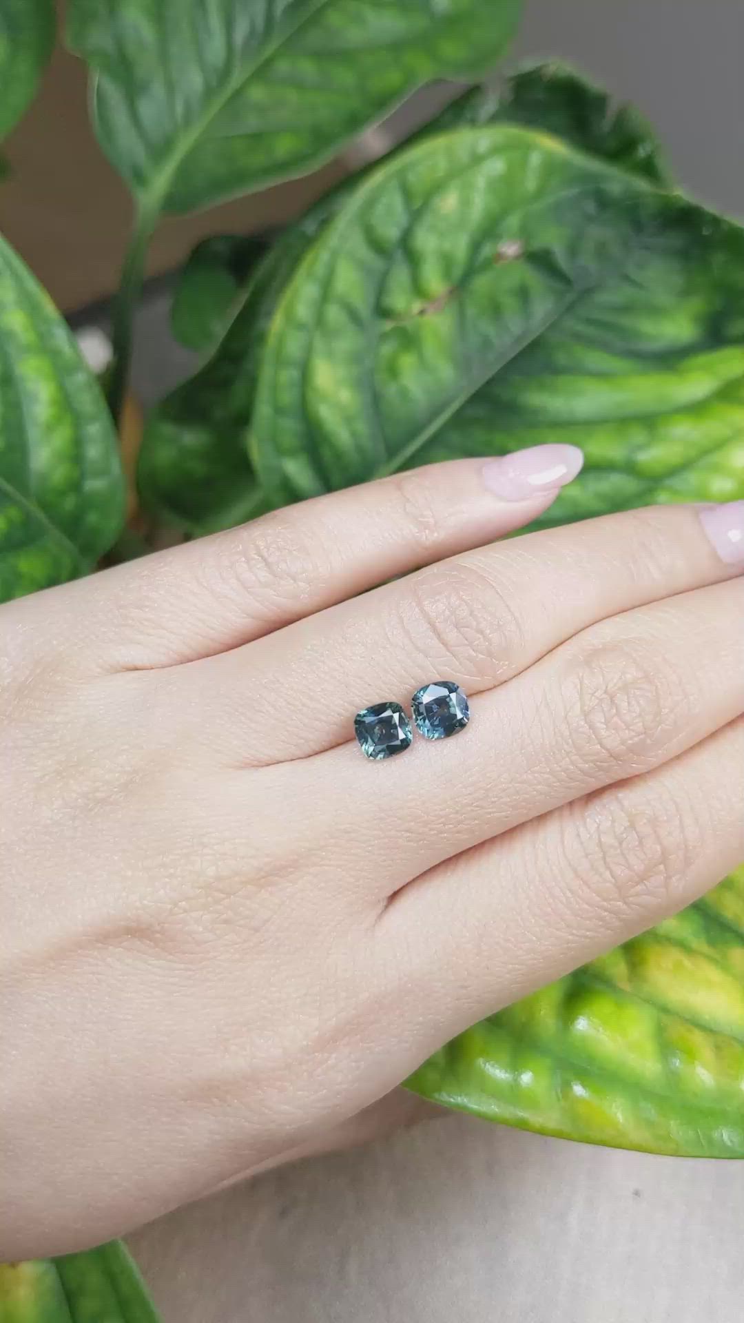 2.75 Ct.Tw.Total Carat Weight Greenish Blue Sapphire Pair from Montana Size Video