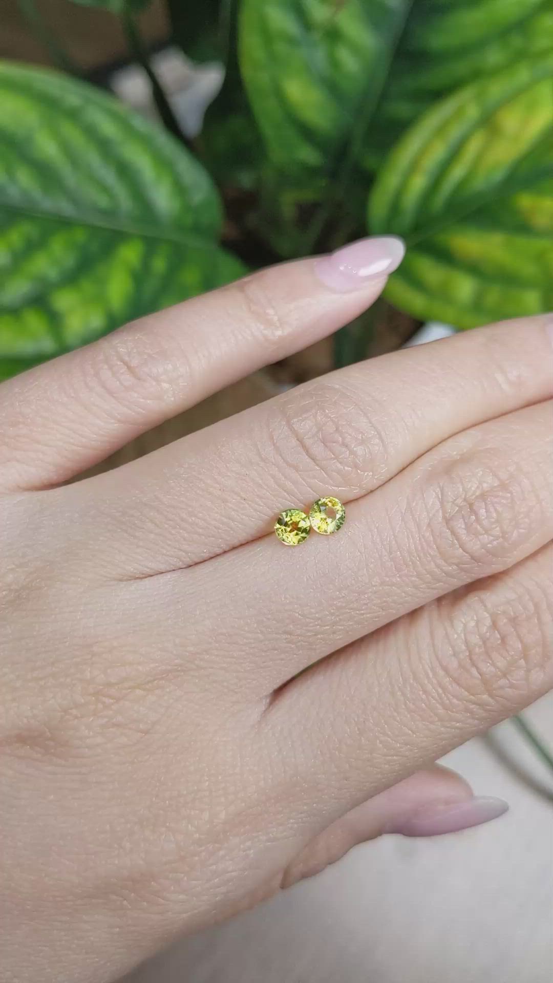 0.74&nbsp;Ct.Tw.Total Carat Weight Greenish Yellow Sapphire Pair from Ceylon (Sri Lanka) Size Video