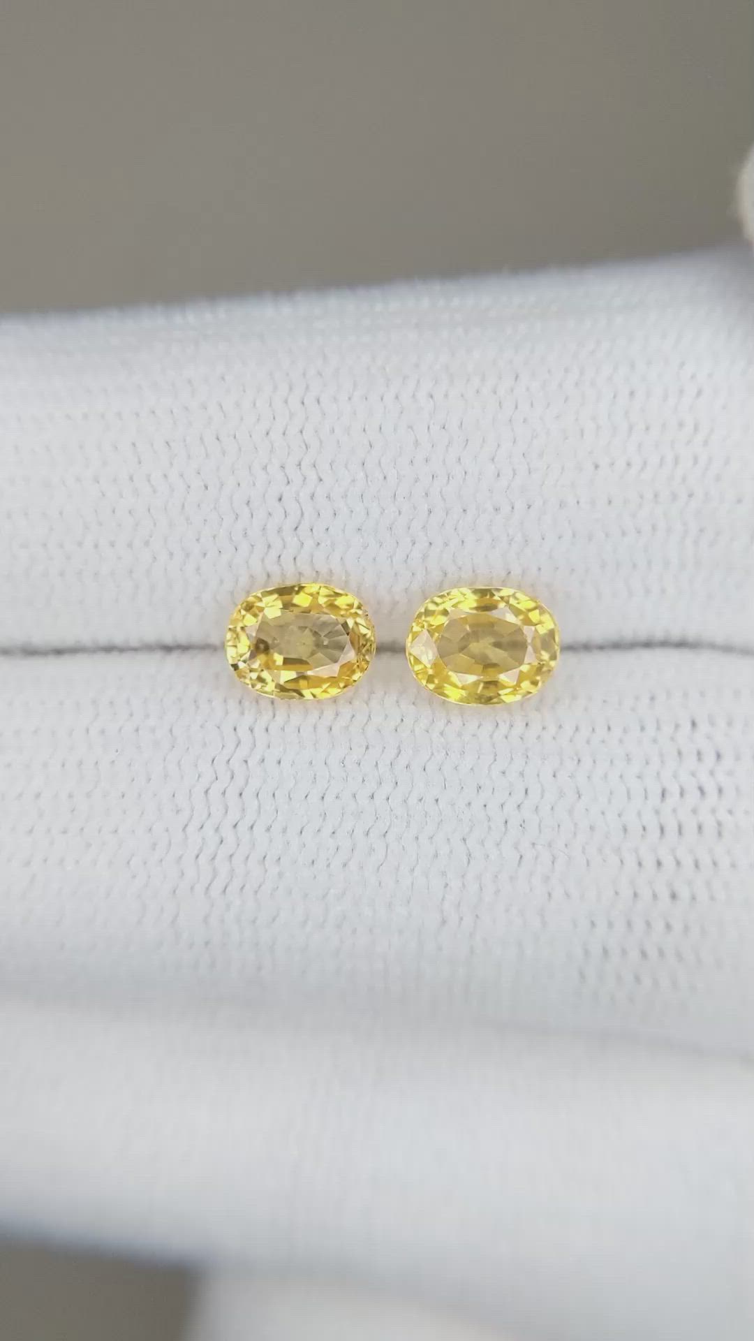 1.65 Ct.Tw.Total Carat Weight Yellow Sapphire Pair from Ceylon (Sri Lanka) Size Video