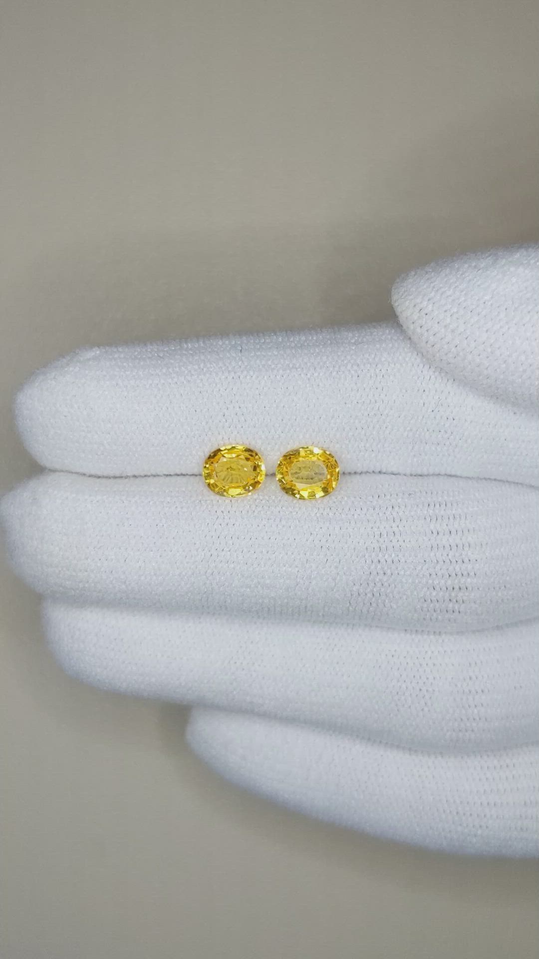 1.81&nbsp;Ct.Tw.Total Carat Weight Yellow Sapphire Pair from Ceylon (Sri Lanka) Size Video