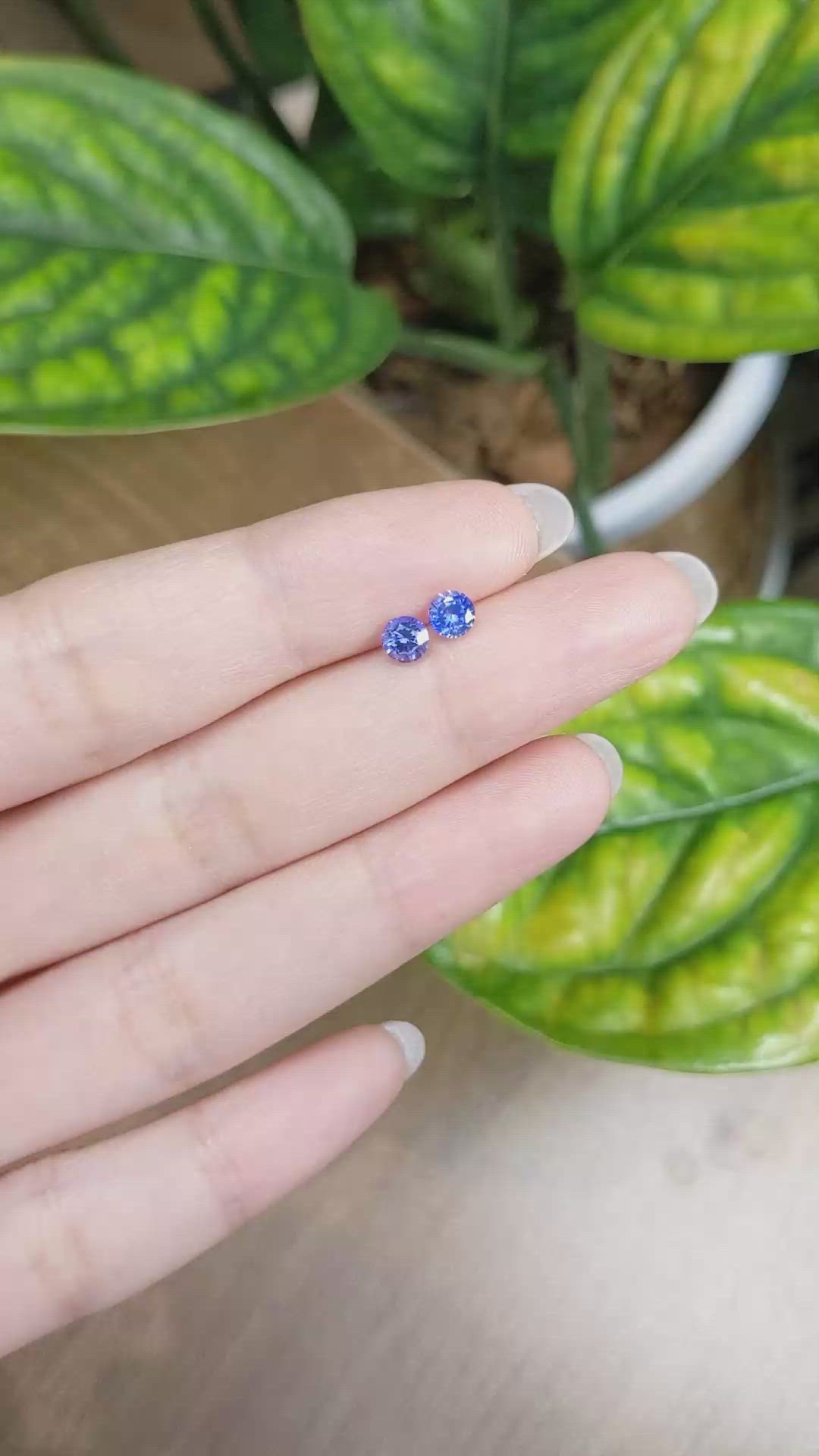 0.90&nbsp;Ct.Tw.Total Carat Weight Blue Sapphire Pair from Ceylon (Sri Lanka) Size Video