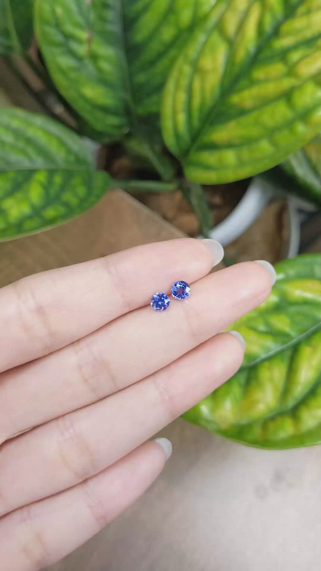 1.01 Ct.Tw.Total Carat Weight Blue Sapphire Pair from Ceylon (Sri Lanka) Size Video