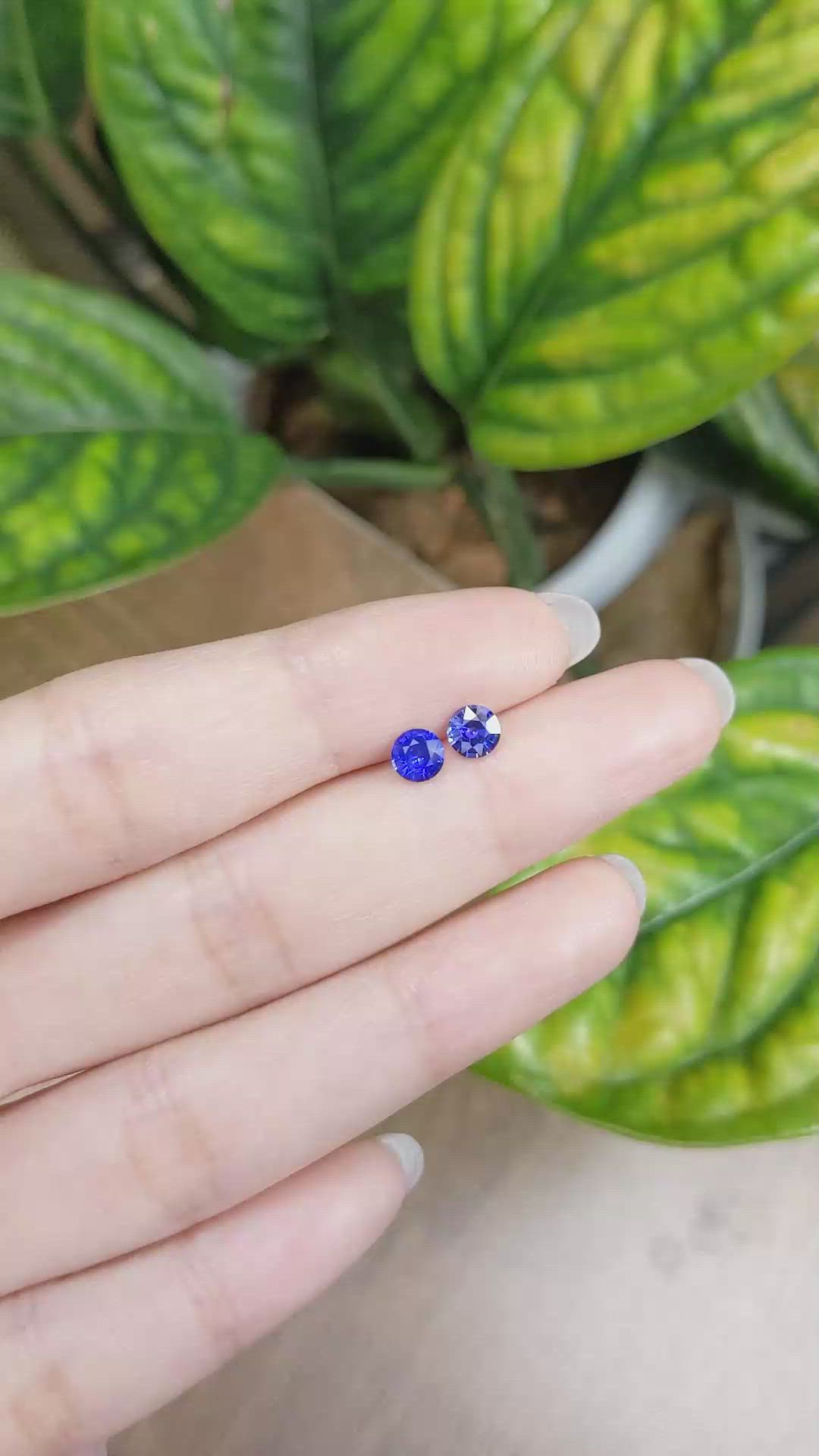 1.03&nbsp;Ct.Tw.Total Carat Weight Blue Sapphire Pair from Ceylon (Sri Lanka) Size Video