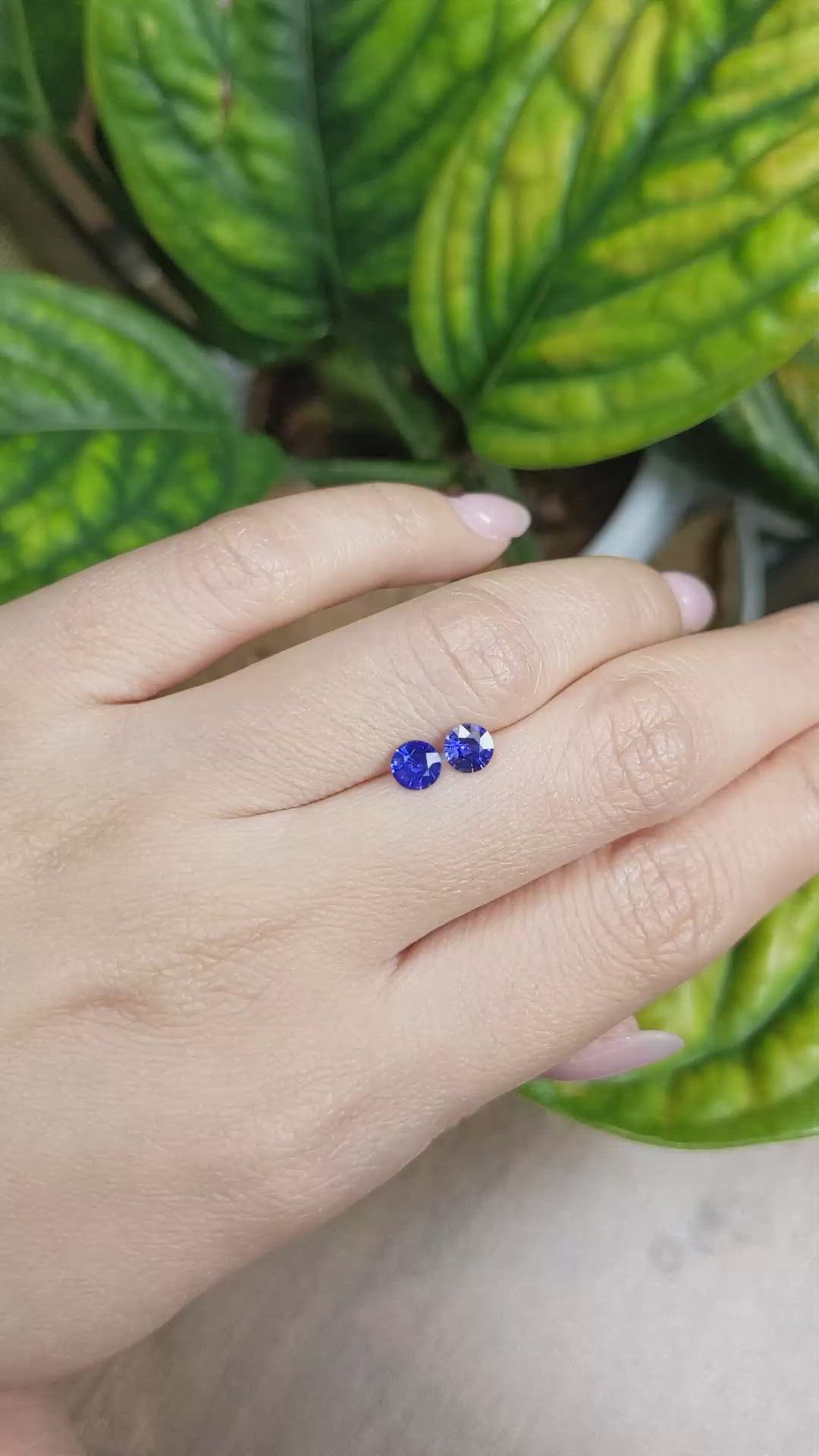 1.03&nbsp;Ct.Tw.Total Carat Weight Blue Sapphire Pair from Ceylon (Sri Lanka) Size Video