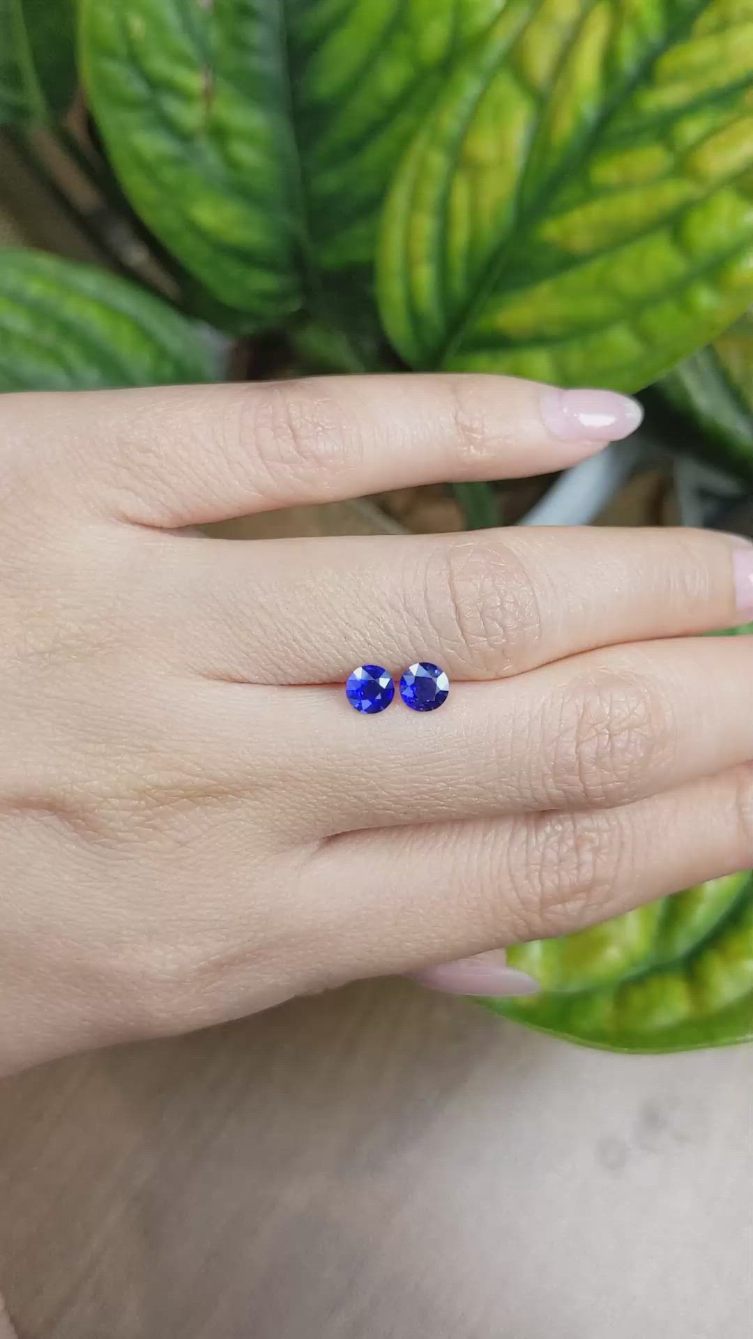 1.04&nbsp;Ct.Tw.Total Carat Weight Blue Sapphire Pair from Ceylon (Sri Lanka) Size Video