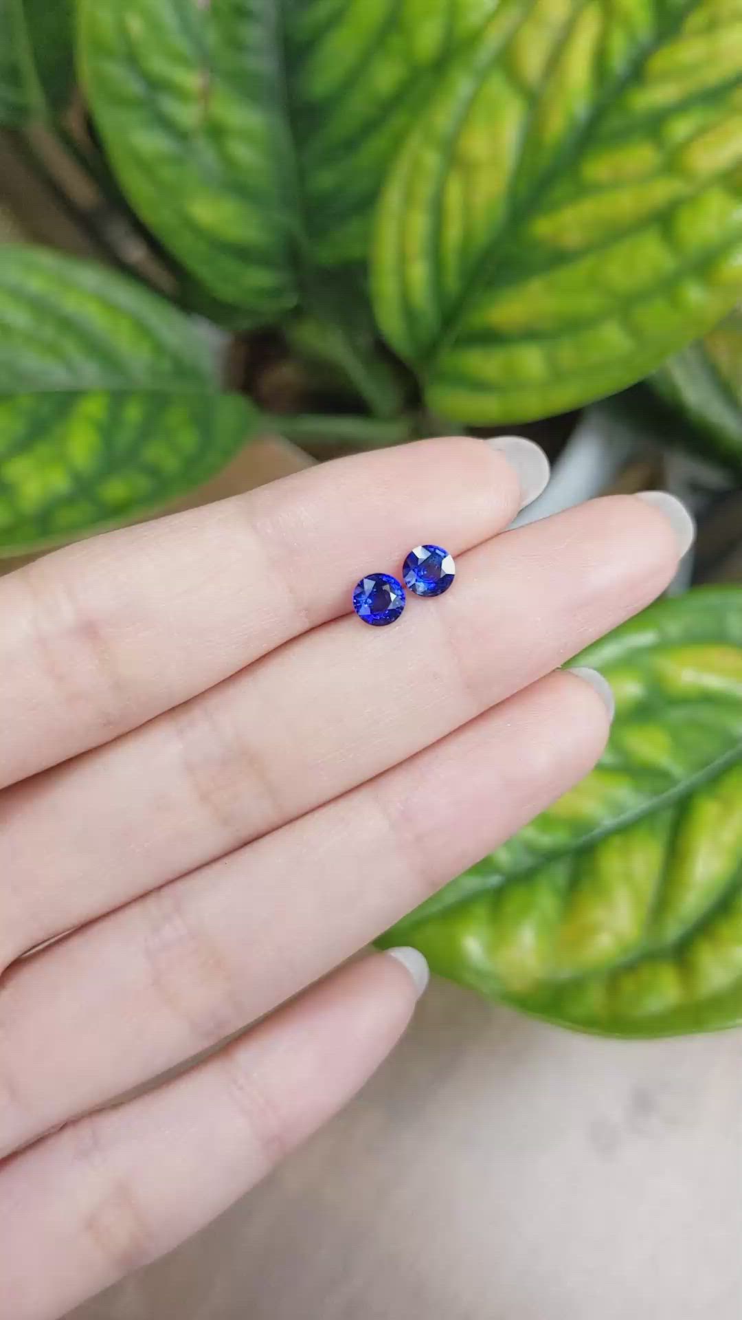 1.08&nbsp;Ct.Tw.Total Carat Weight Blue Sapphire Pair from Ceylon (Sri Lanka) Size Video