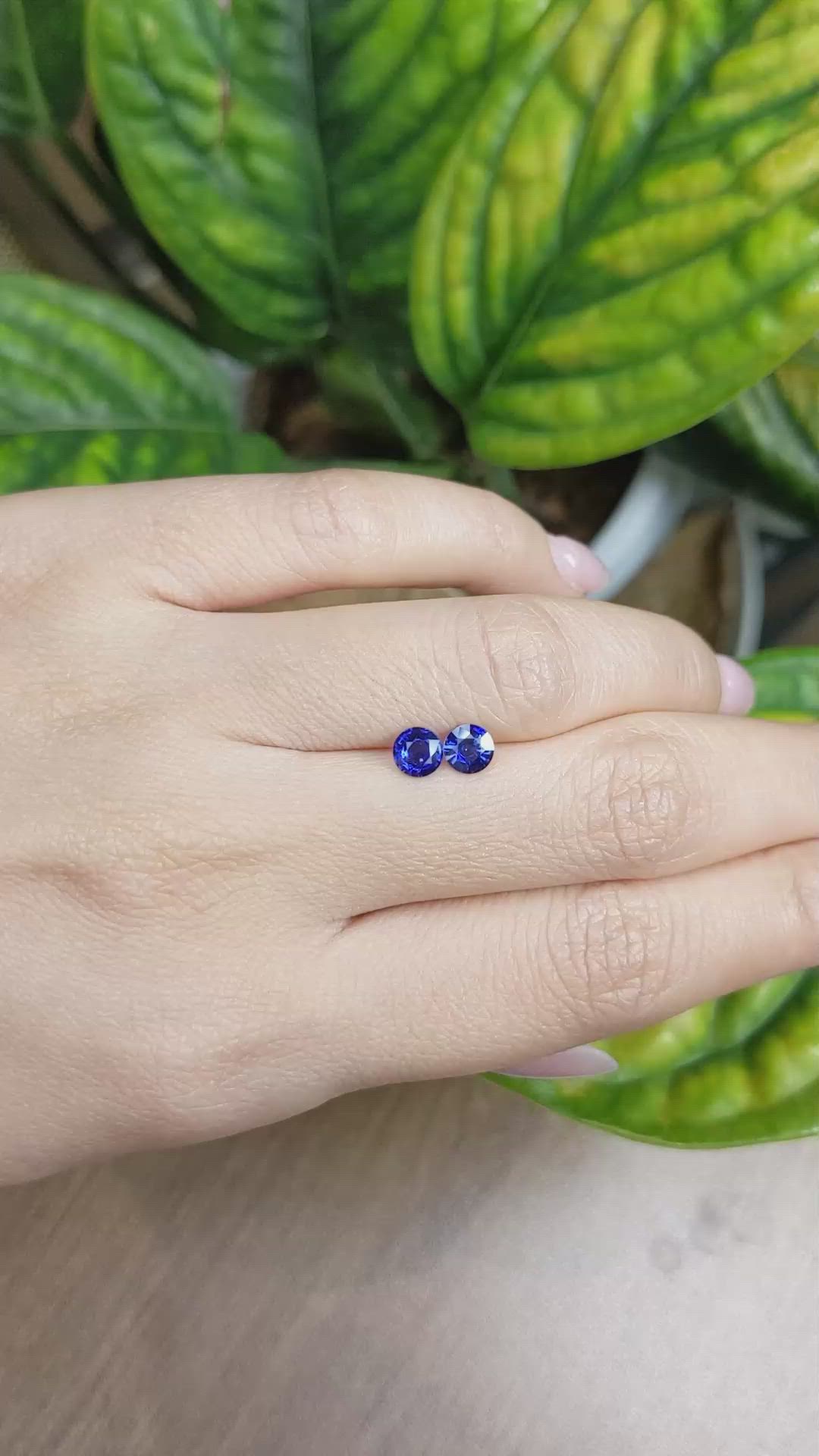 1.08&nbsp;Ct.Tw.Total Carat Weight Blue Sapphire Pair from Ceylon (Sri Lanka) Size Video