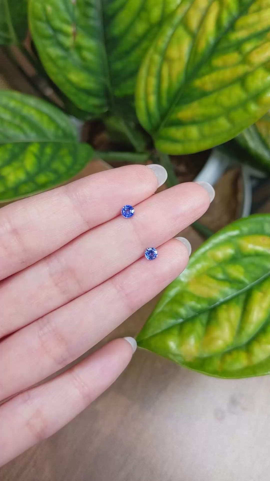 0.56 Ct.Tw.Total Carat Weight Blue Sapphire Pair from Ceylon (Sri Lanka) Size Video