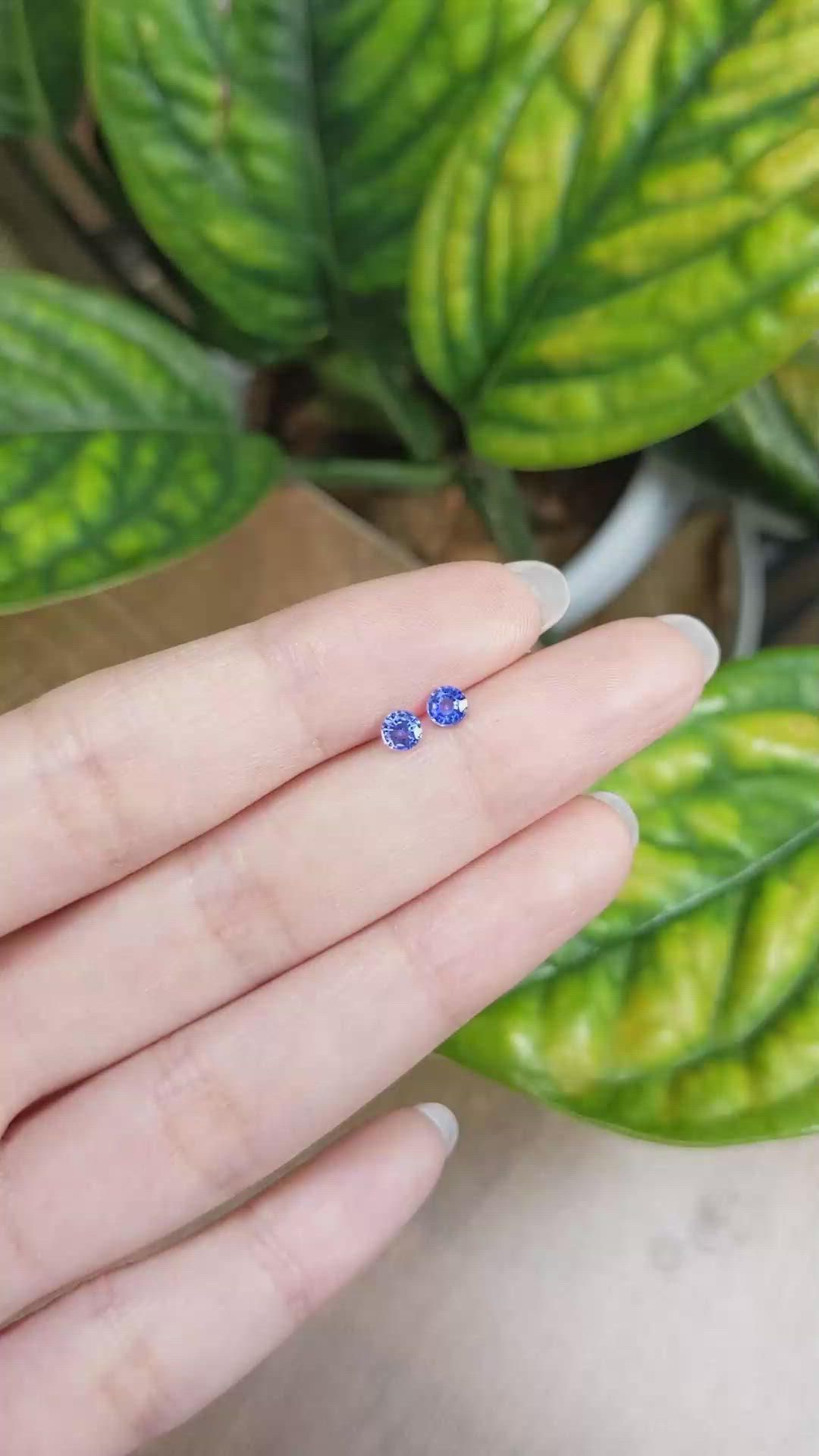 0.56 Ct.Tw.Total Carat Weight Blue Sapphire Pair from Ceylon (Sri Lanka) Size Video