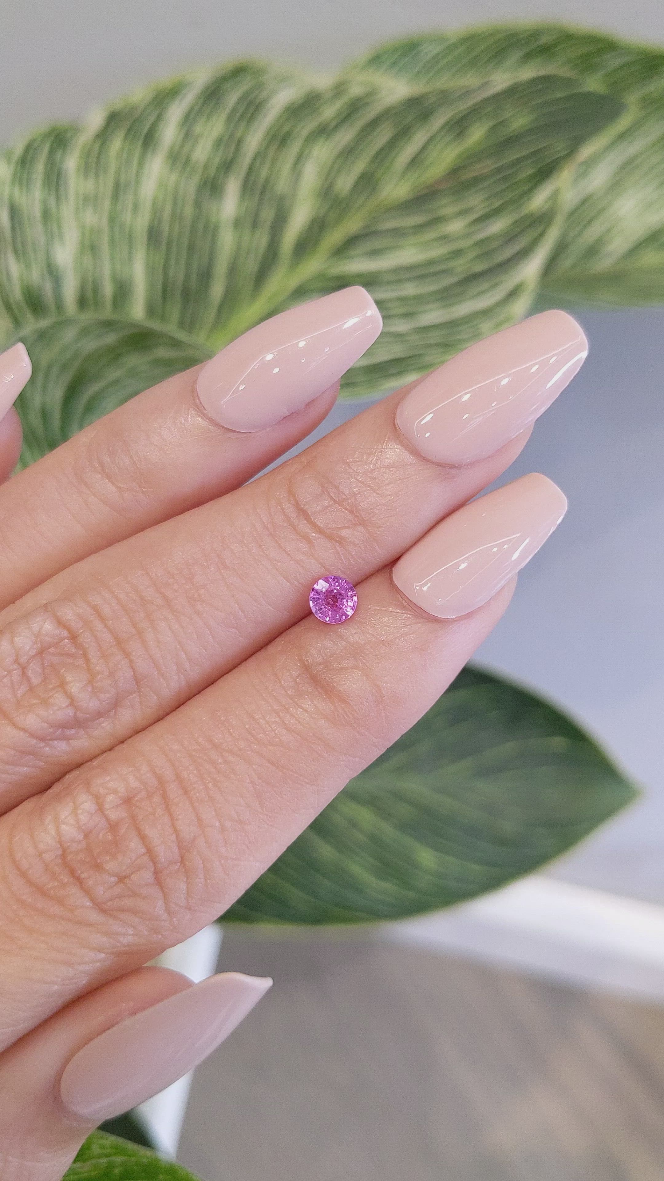 0.44 Ct. Pink Sapphire from Ceylon (Sri Lanka) Size Video