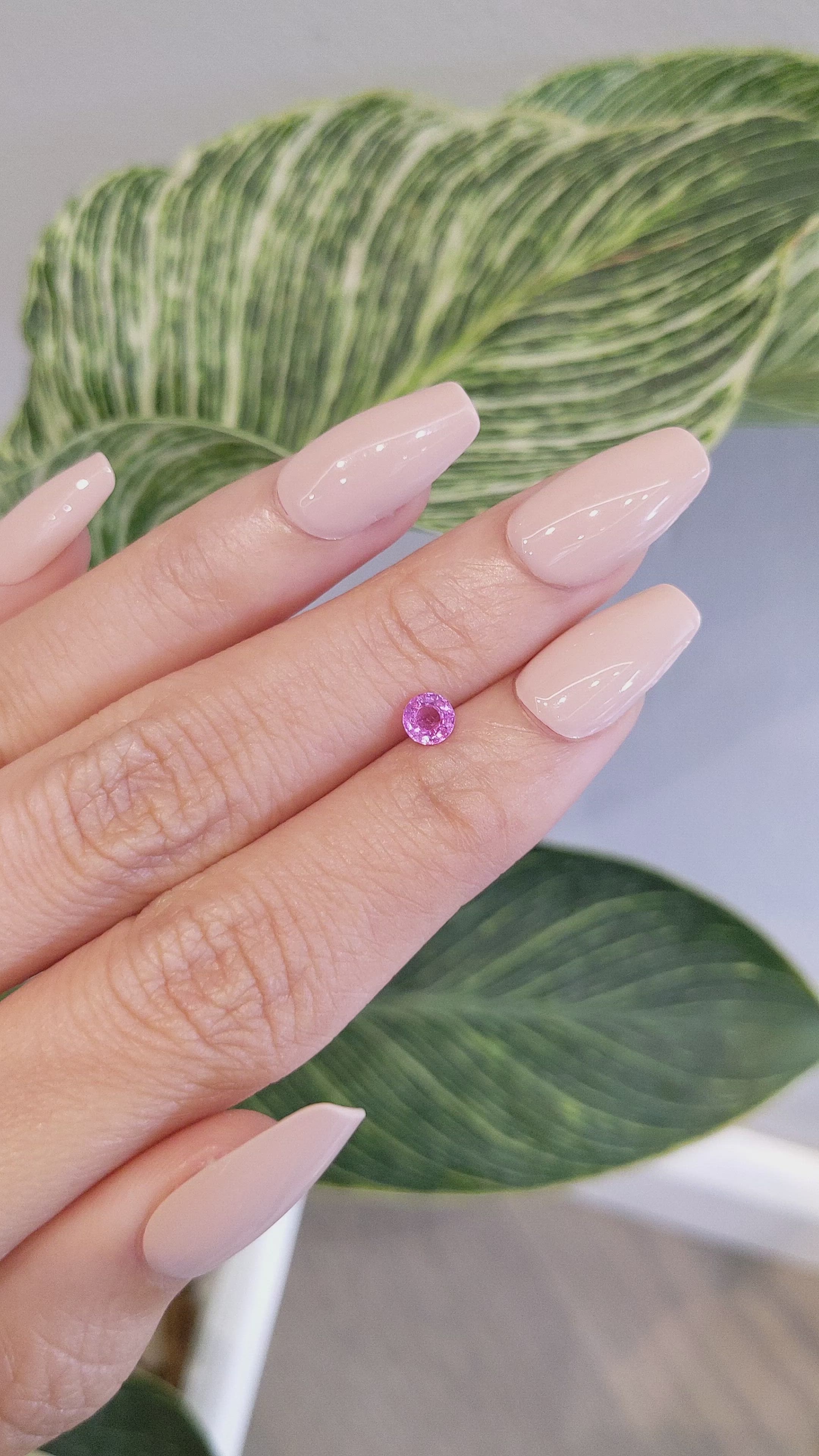 0.46 Ct. Pink Sapphire from Ceylon (Sri Lanka) Size Video