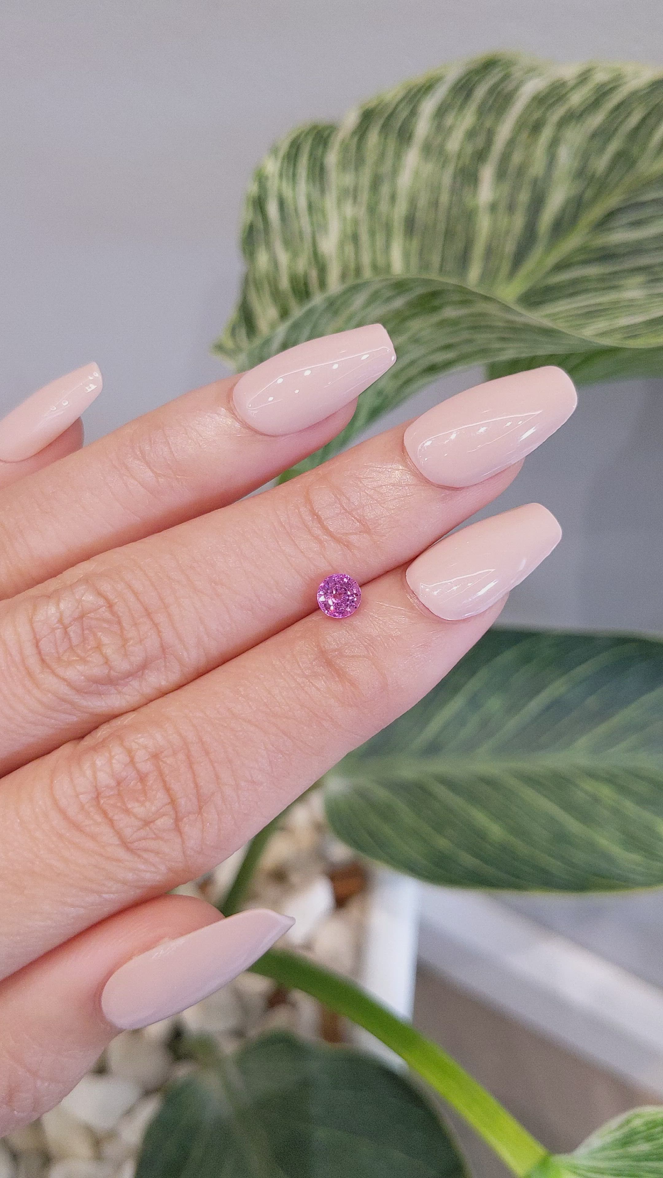 0.57 Ct. Pink Sapphire from Ceylon (Sri Lanka) Size Video