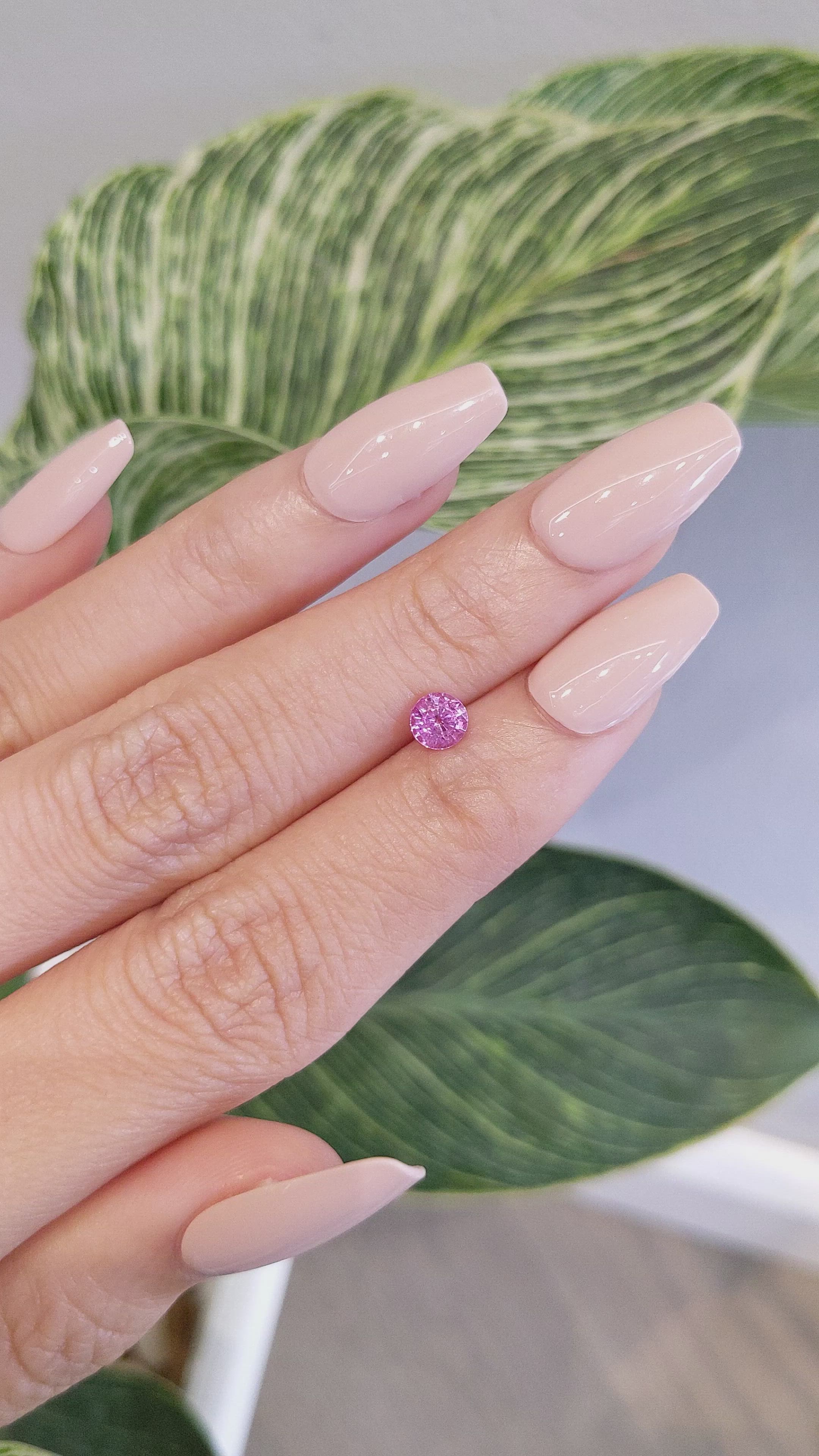 0.63 Ct. Pink Sapphire from Ceylon (Sri Lanka) Size Video