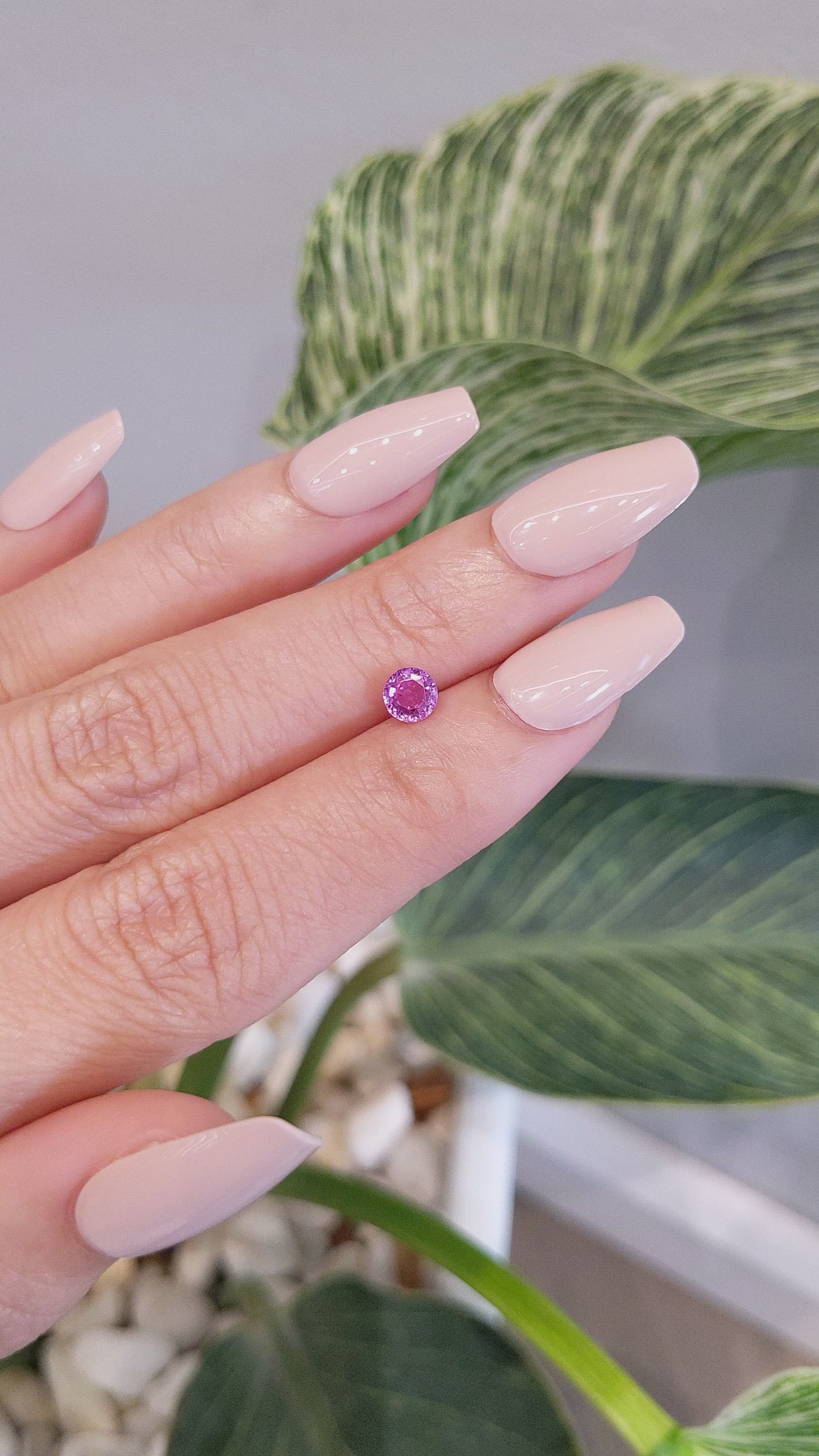 0.66 Ct. Pink Sapphire from Ceylon (Sri Lanka) Size Video