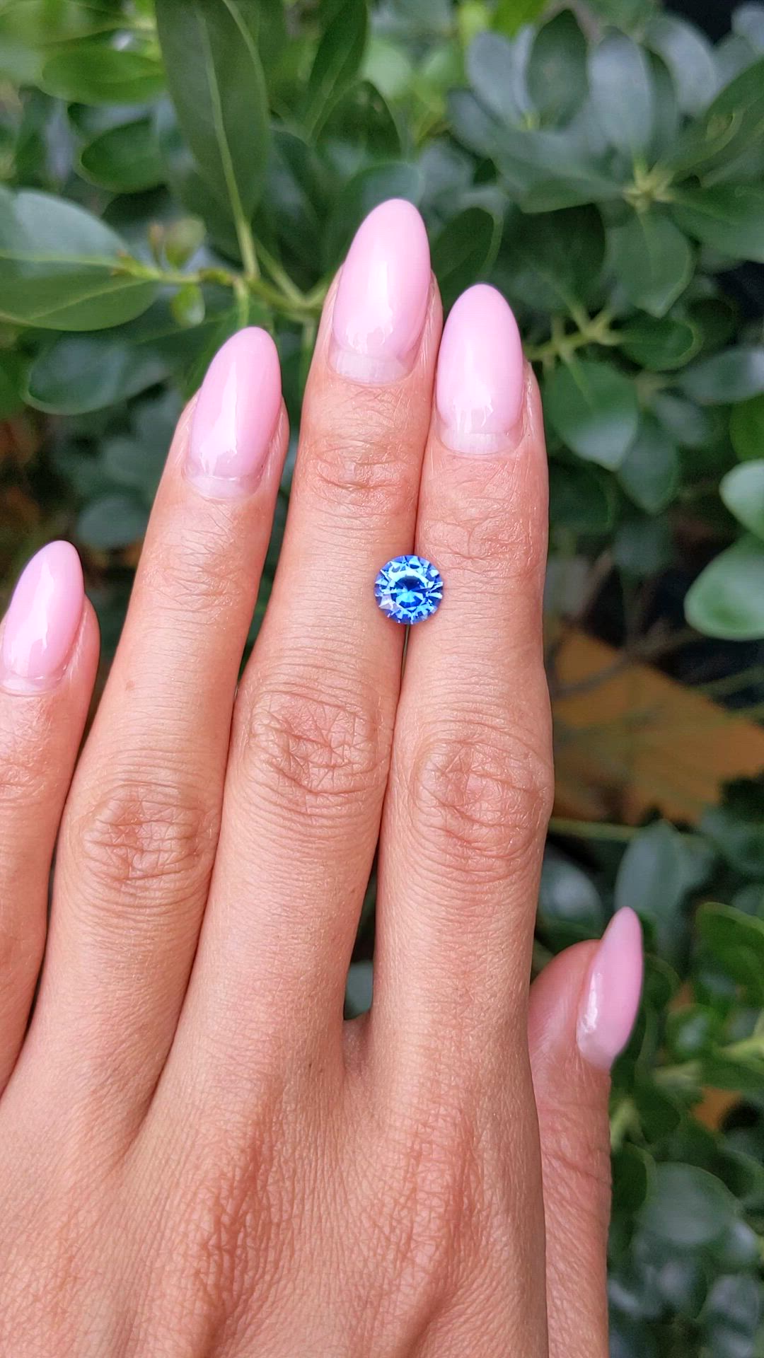 1.50 Ct. Blue Sapphire from Ceylon (Sri Lanka) Size Video