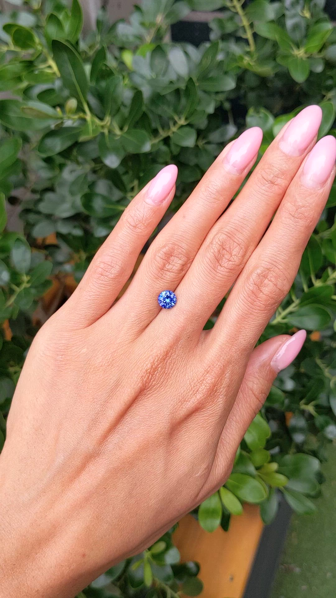 1.67 Ct. Blue Sapphire from Ceylon (Sri Lanka) Size Video