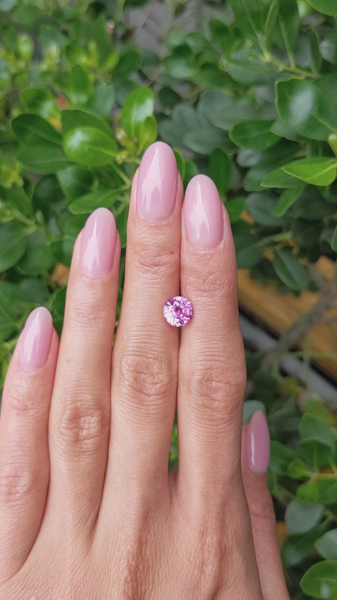 2.04 Ct. Pink Sapphire from Ceylon (Sri Lanka) Size Video