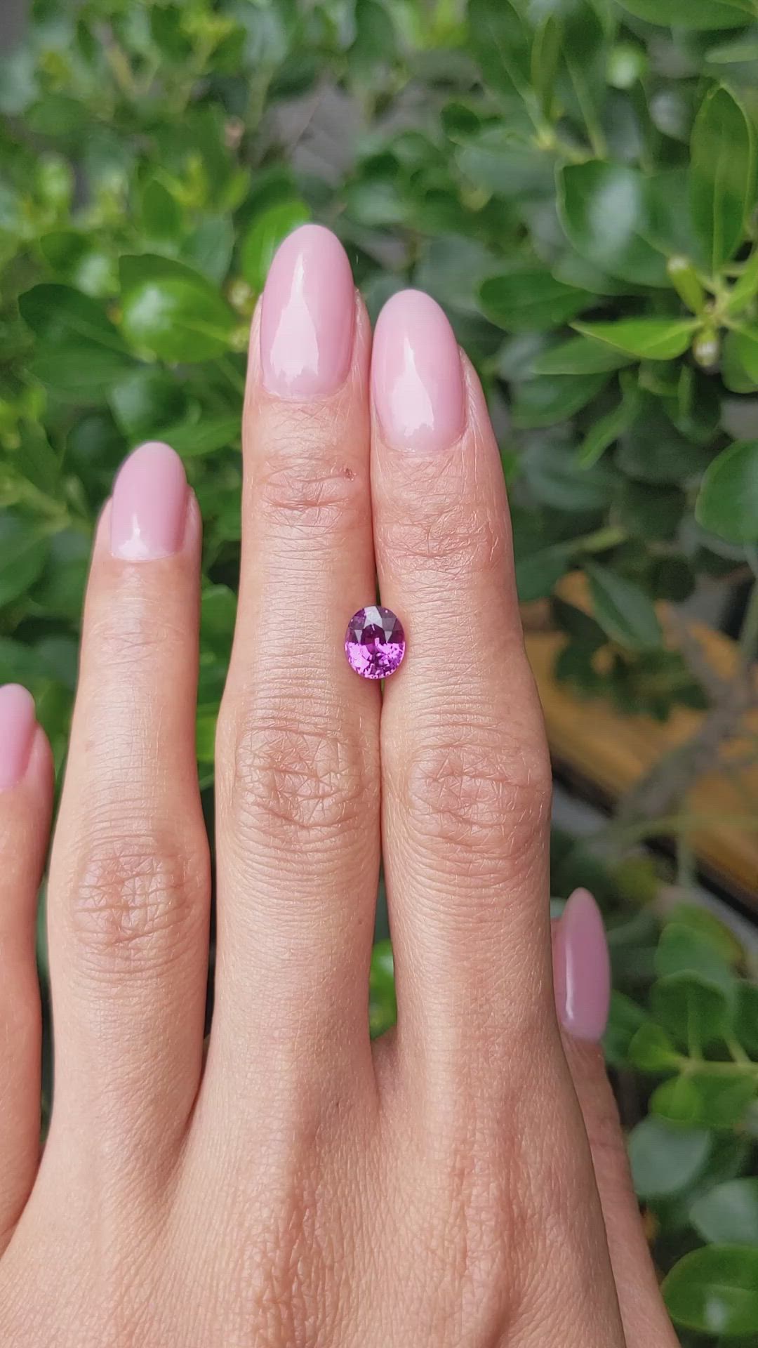 1.66 Ct. Pink Sapphire from Ceylon (Sri Lanka) Size Video