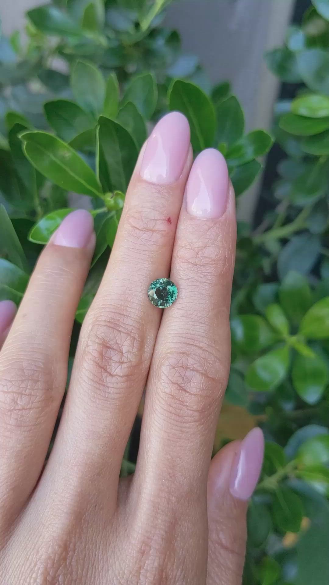 1.53 Ct. Bluish Green Sapphire from Ceylon (Sri Lanka) Size Video