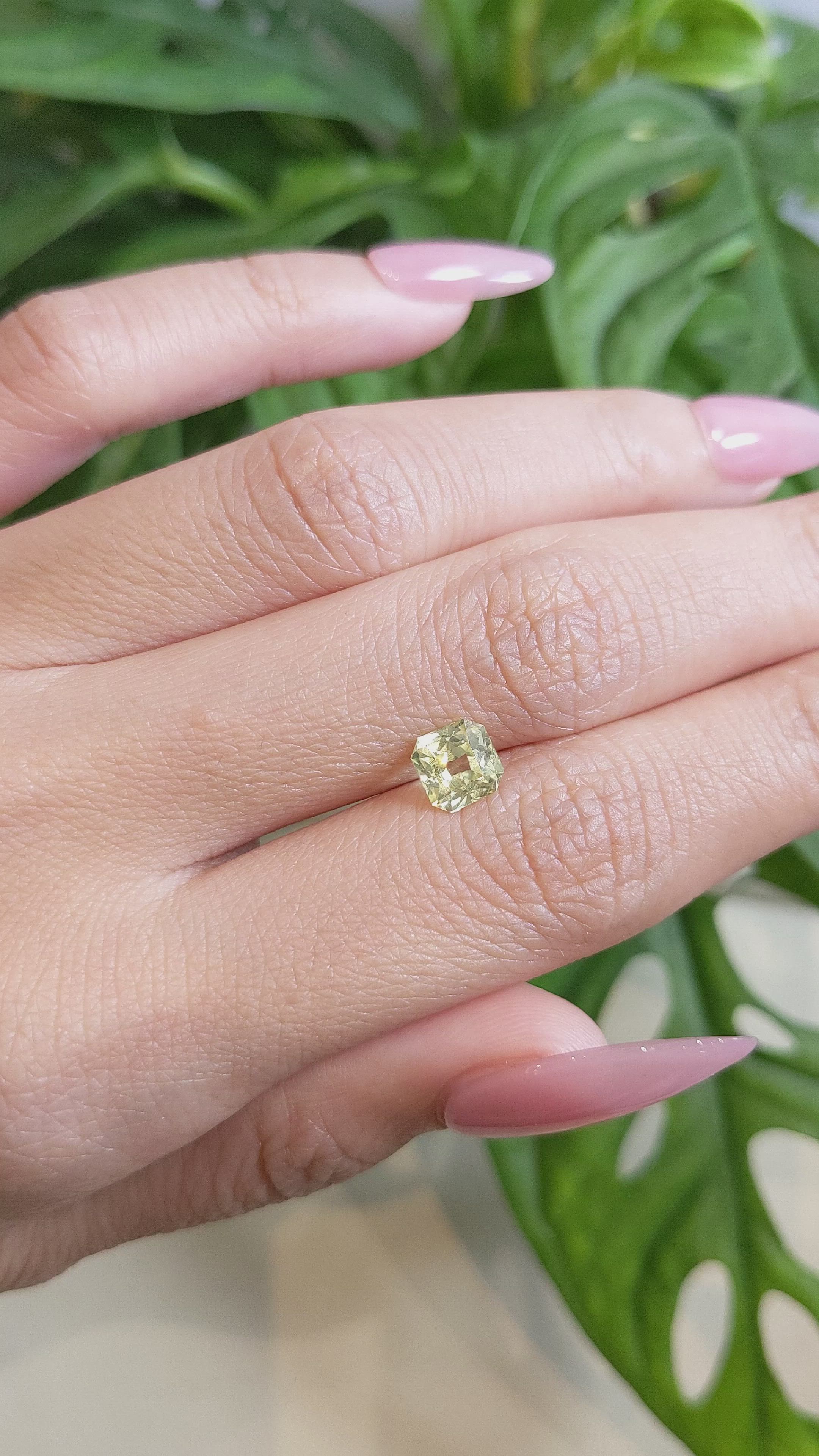 1.61 Ct. Yellow Sapphire from Ceylon (Sri Lanka) Size Video