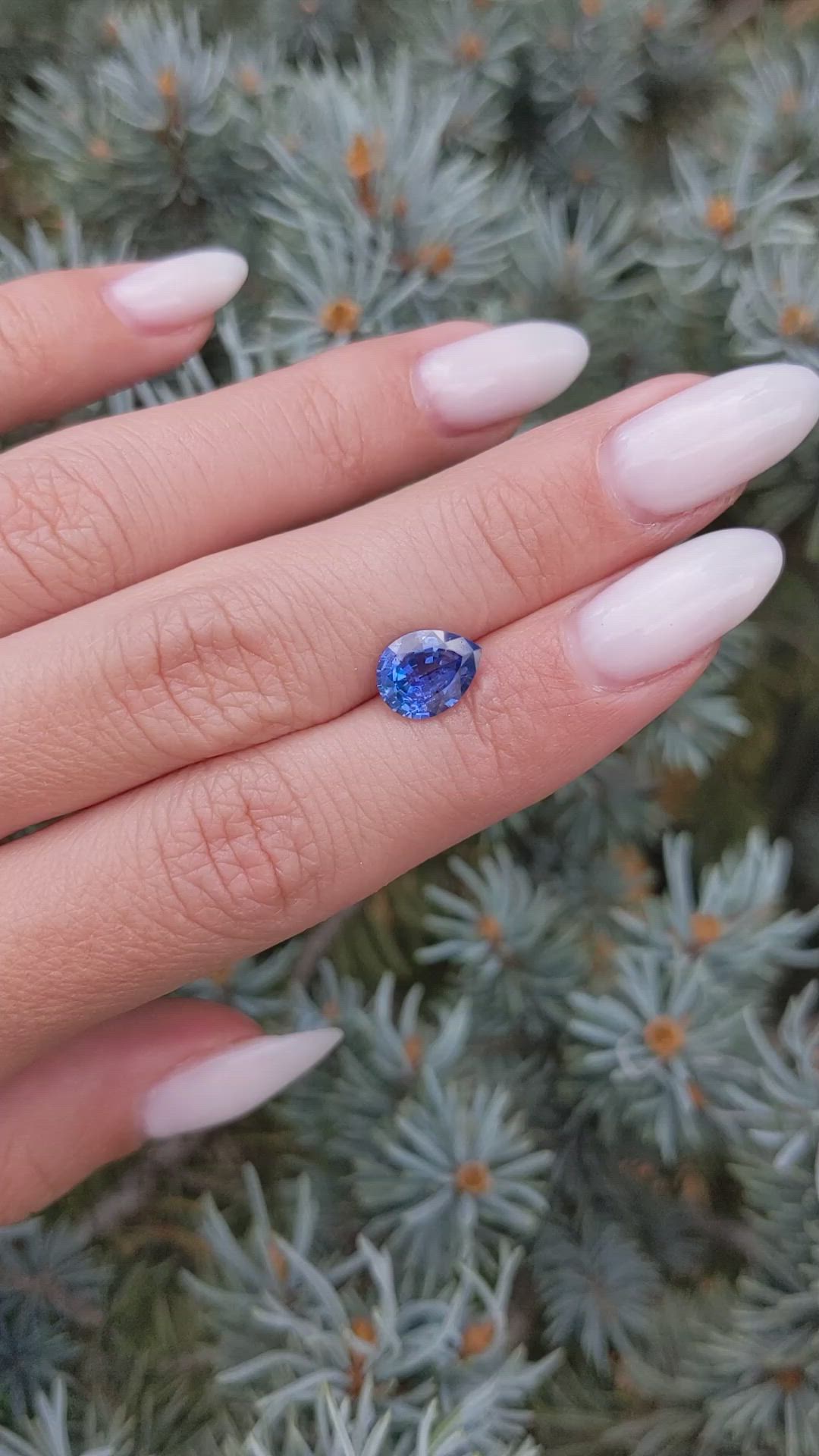1.80 Ct. Blue Sapphire from Ceylon (Sri Lanka) Size Video