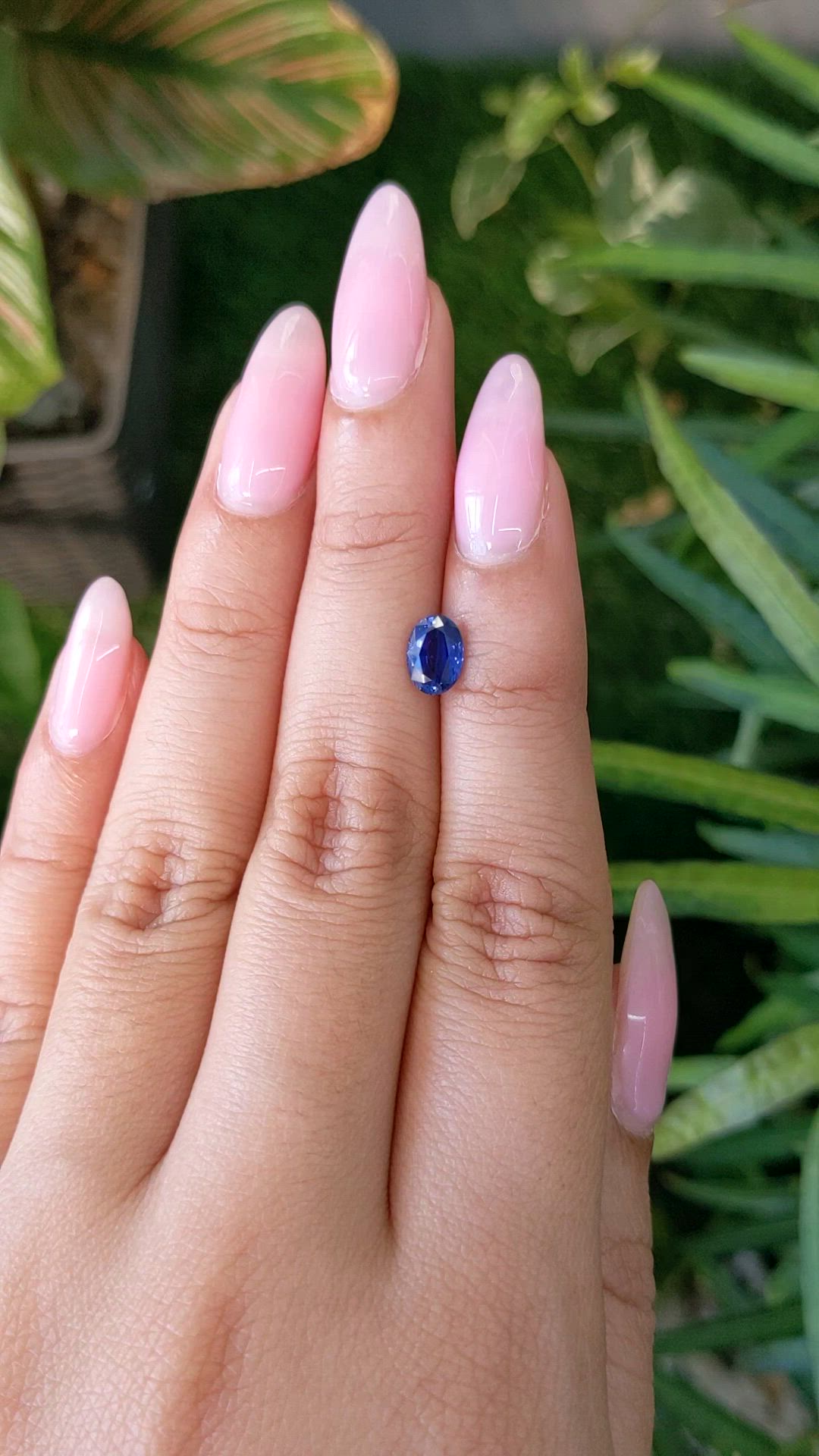 1.03 Ct. Blue Sapphire from Ceylon (Sri Lanka) Size Video