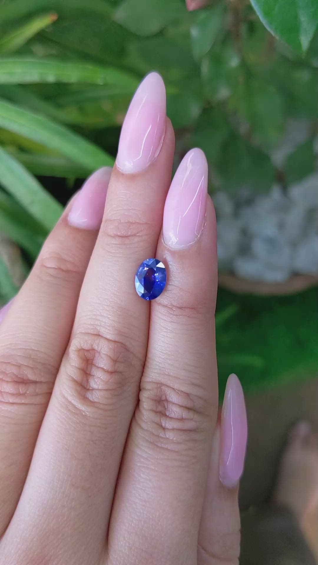 1.27 Ct. Bi Color Sapphire from Ceylon (Sri Lanka) Size Video