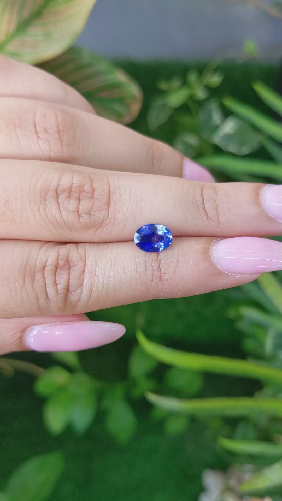 1.27 Ct. Bi Color Sapphire from Ceylon (Sri Lanka) Size Video