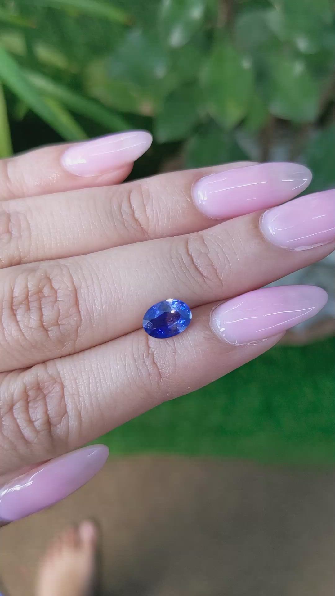 1.27 Ct. Bi Color Sapphire from Ceylon (Sri Lanka) Size Video