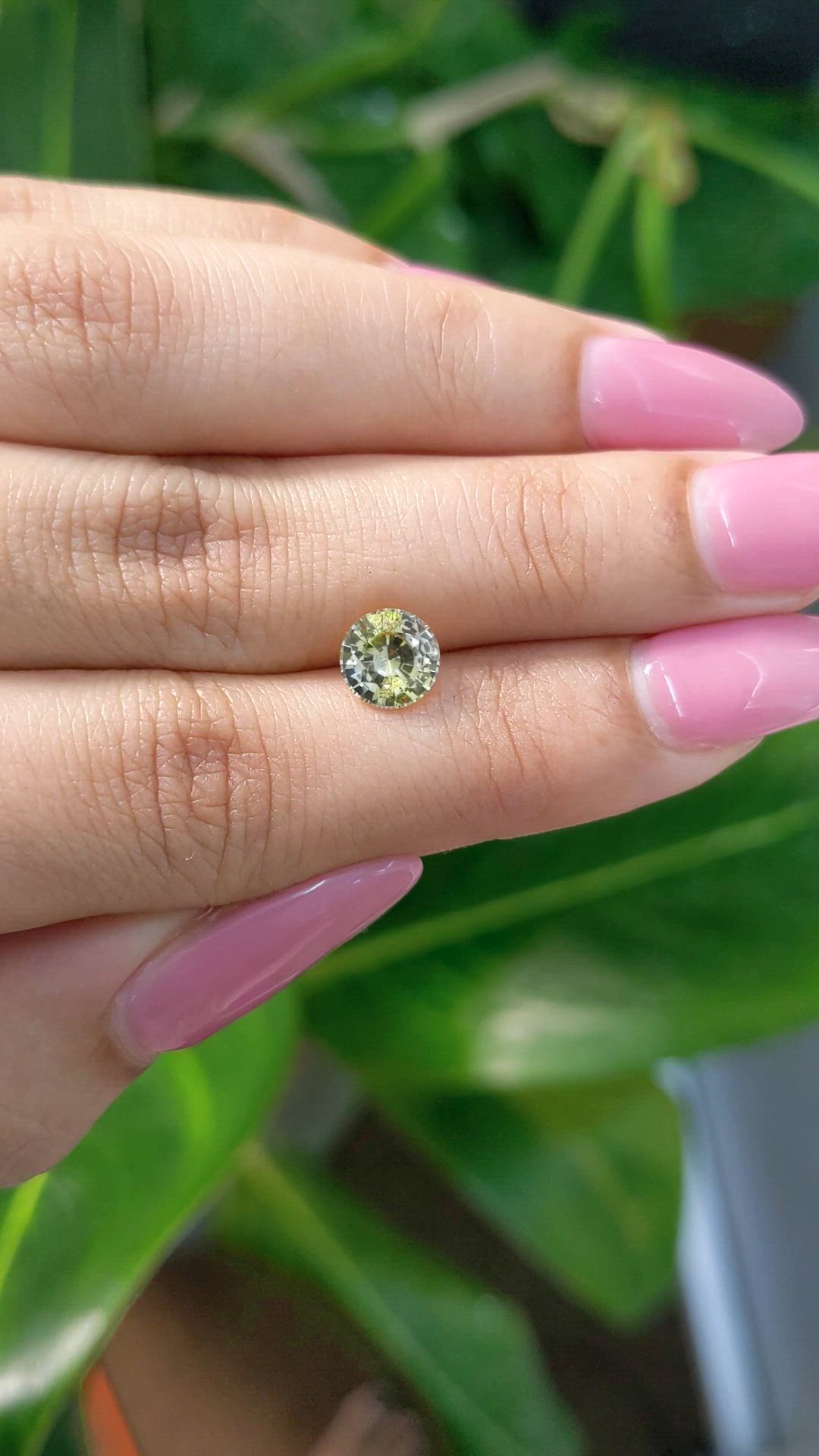 1.65 Ct. Bi Color Sapphire from Ceylon (Sri Lanka) Size Video