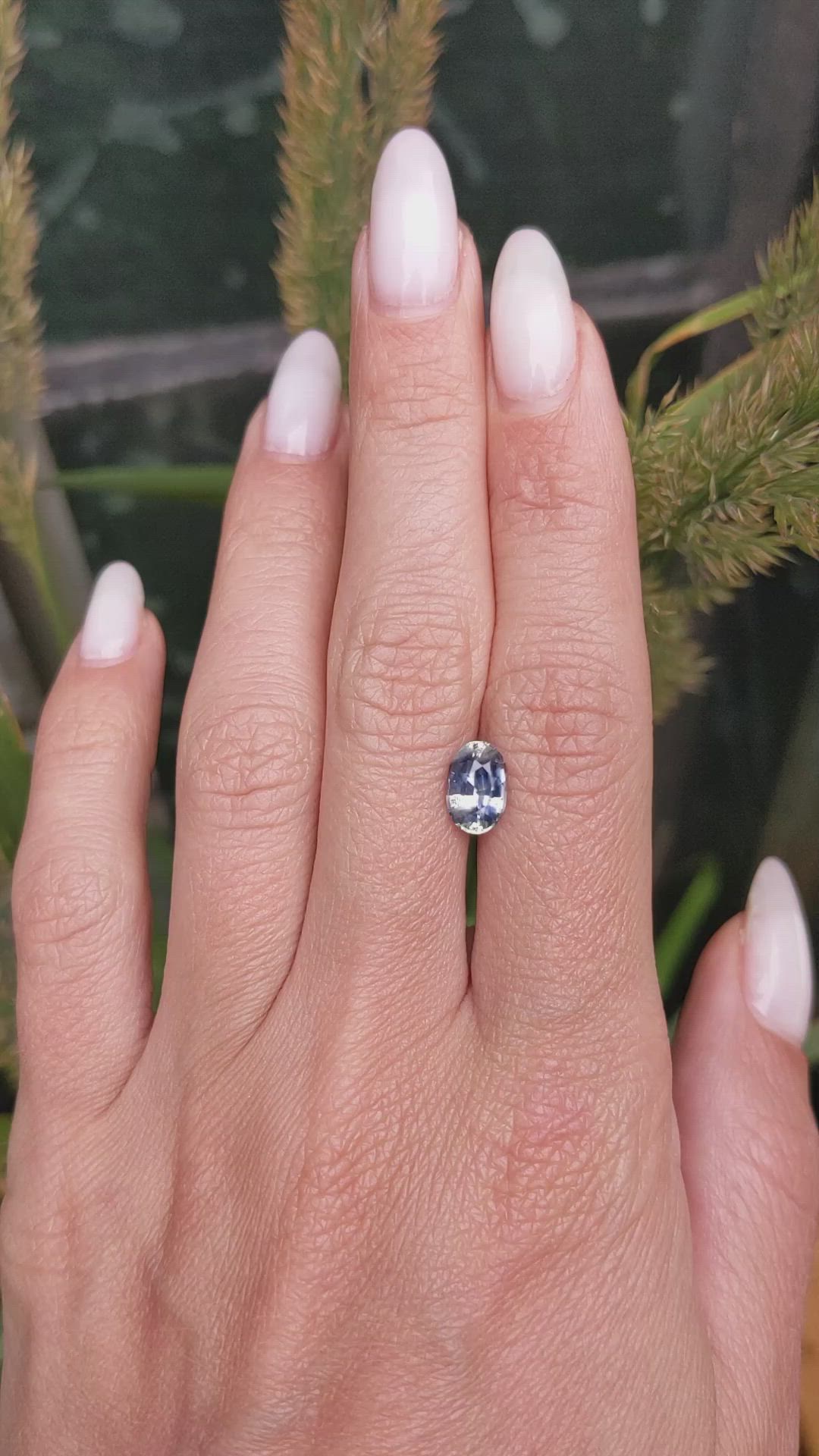 1.91 Ct. Bi Color Sapphire from Ceylon (Sri Lanka) Size Video
