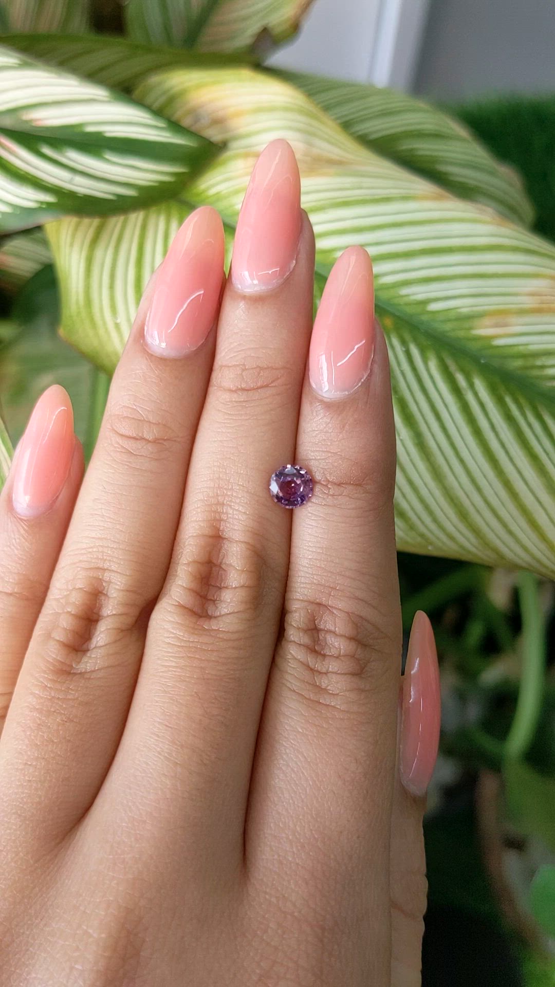 0.77 Ct. Purplish Pink Sapphire from Ceylon (Sri Lanka) Size Video