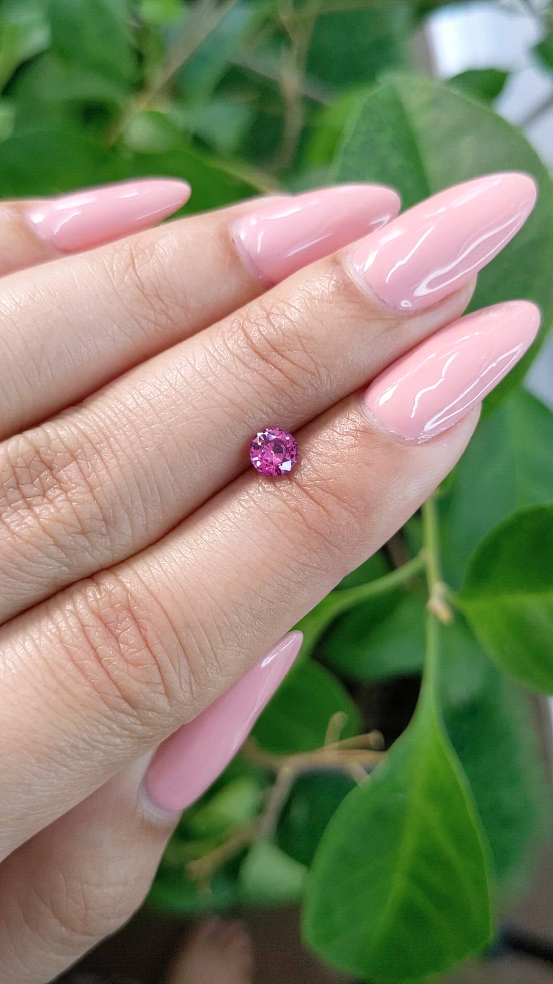 0.49 Ct. Pinkish Purple Sapphire from Ceylon (Sri Lanka) Size Video