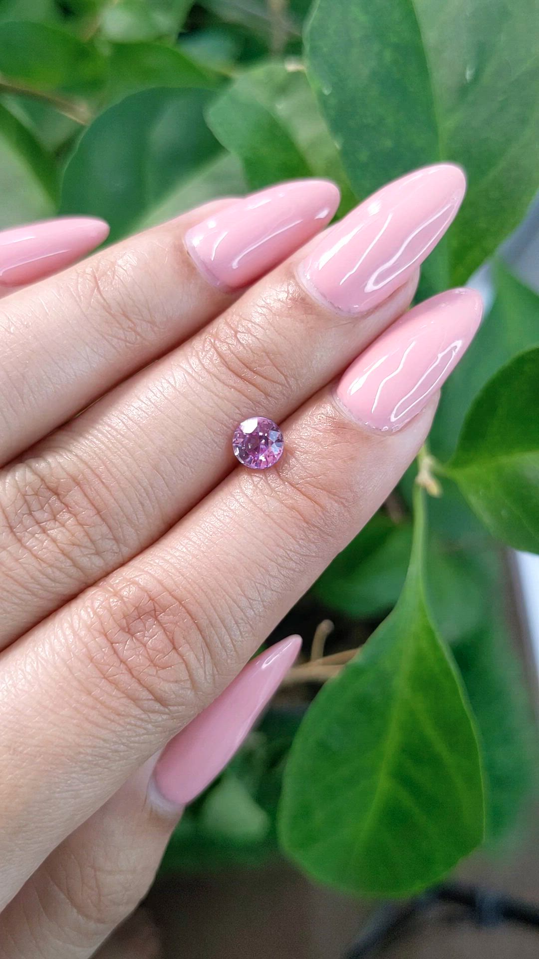 0.81 Ct. Pink Sapphire from Ceylon (Sri Lanka) Size Video