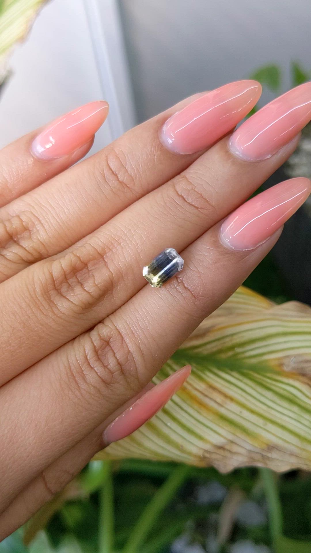 1.59 Ct. Bi Color Sapphire from Ceylon (Sri Lanka) Size Video