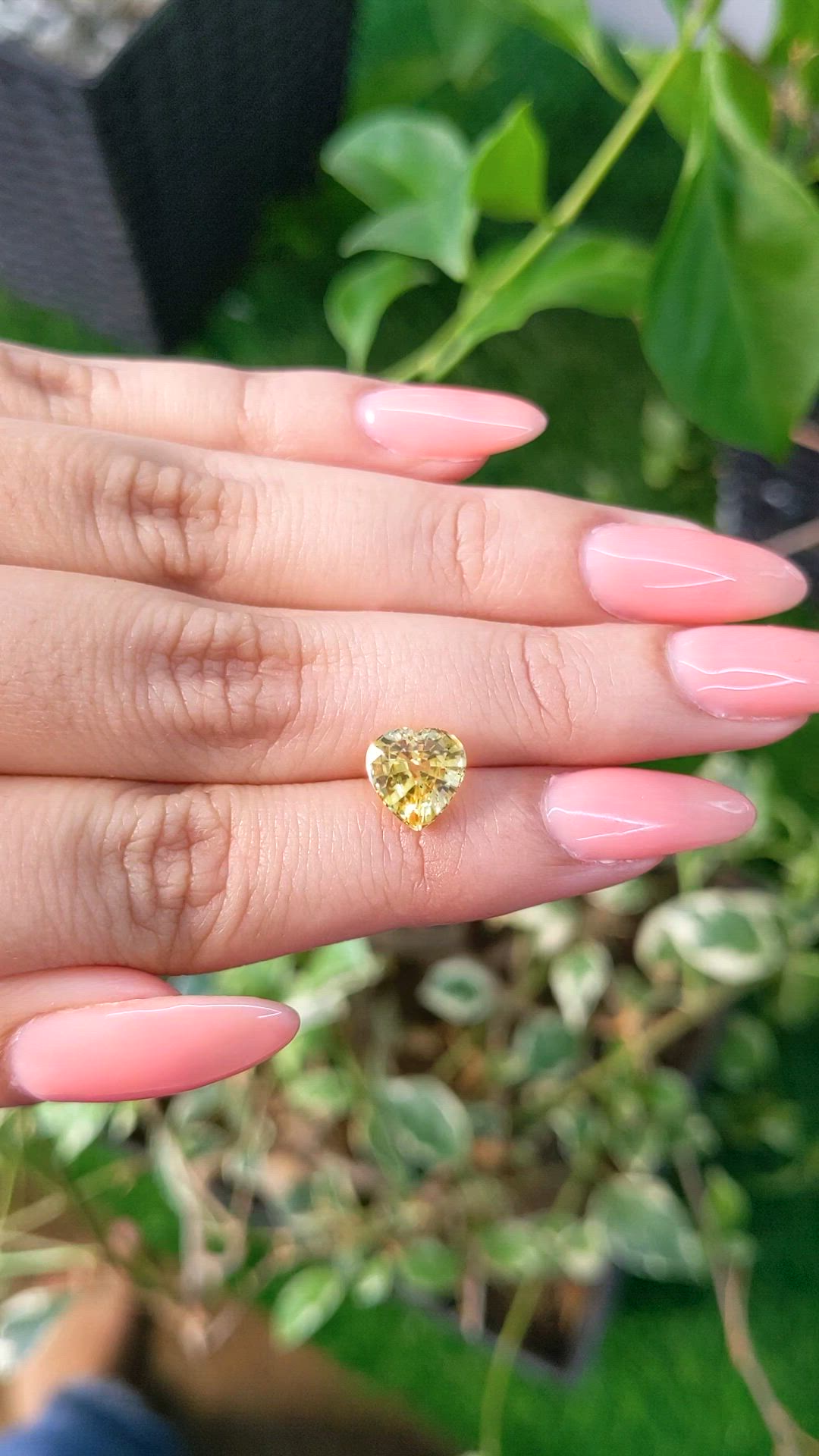 2.81 Ct. Yellow Sapphire from Ceylon (Sri Lanka) Size Video