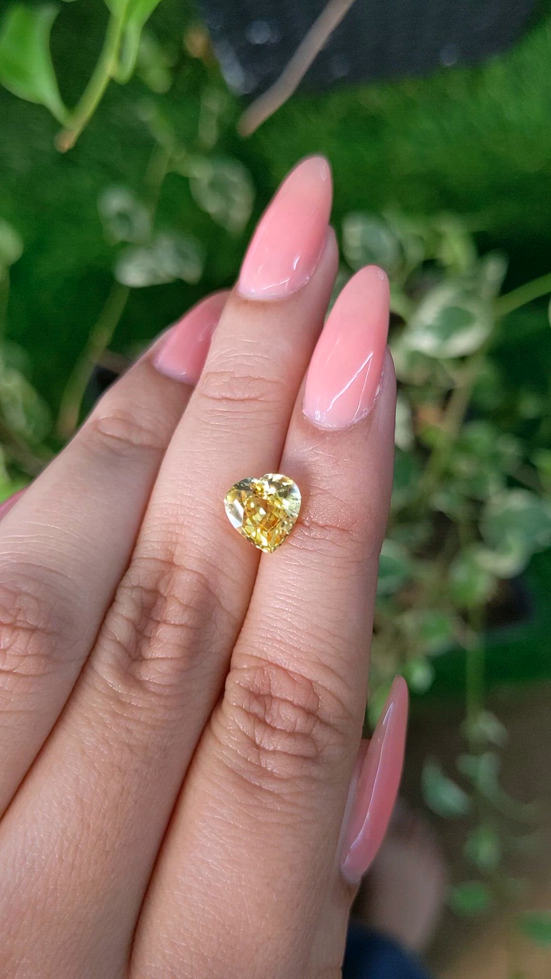 2.81 Ct. Yellow Sapphire from Ceylon (Sri Lanka) Size Video
