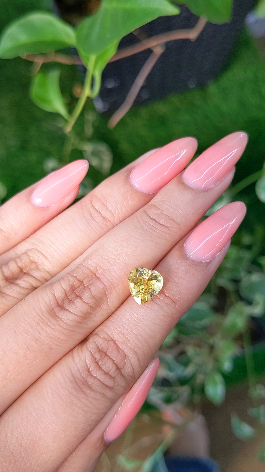 2.81 Ct. Yellow Sapphire from Ceylon (Sri Lanka) Size Video