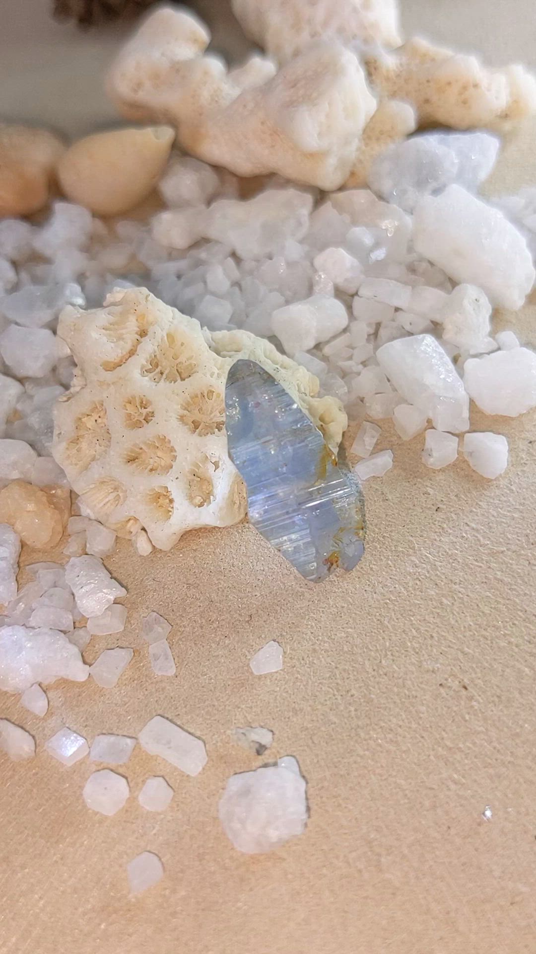11.93 Ct. Blue Sapphire Crystal from Ceylon (Sri Lanka) Size Video